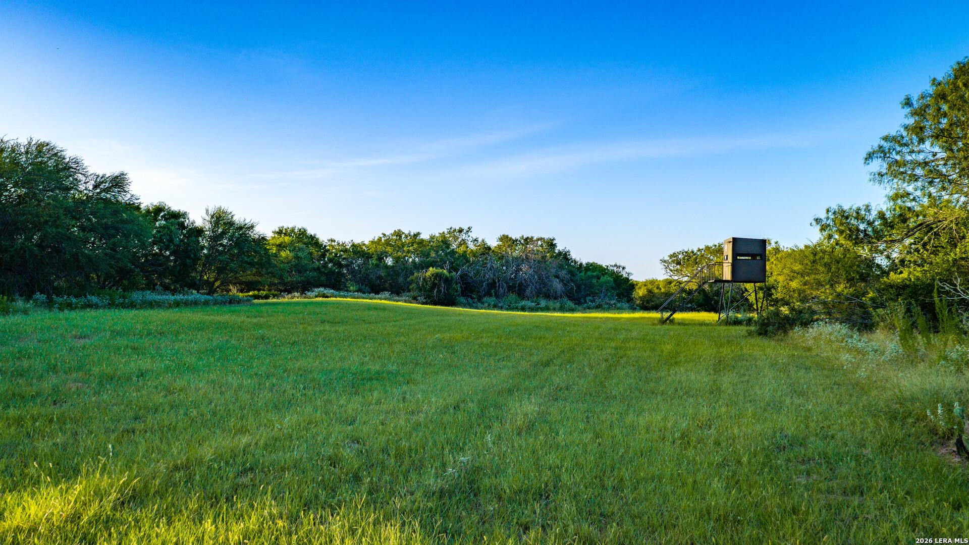 1703 Fm 885, RUNGE, TX, 78151