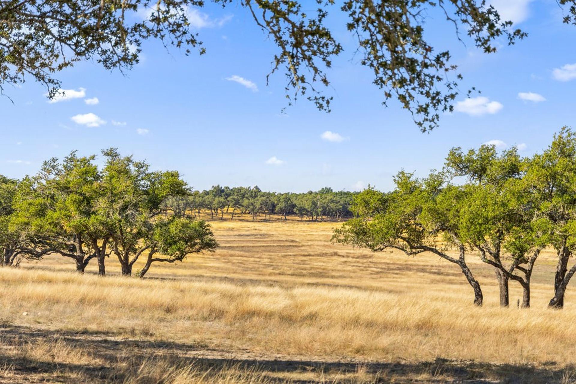 2482 Ranch Rd 2721, Johnson City, TX, 78636