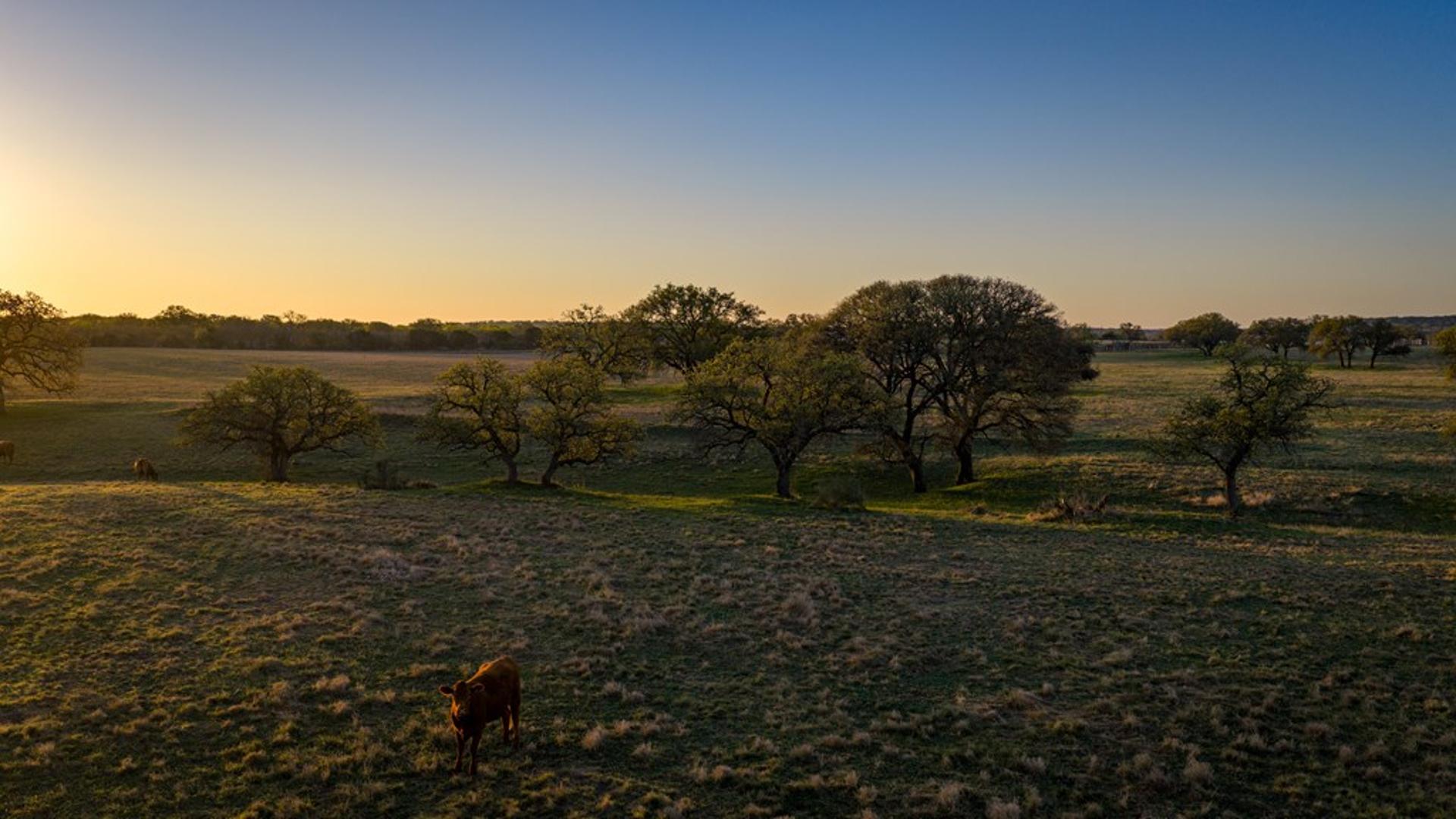 348 Blau Lane, Menard, TX, 76848