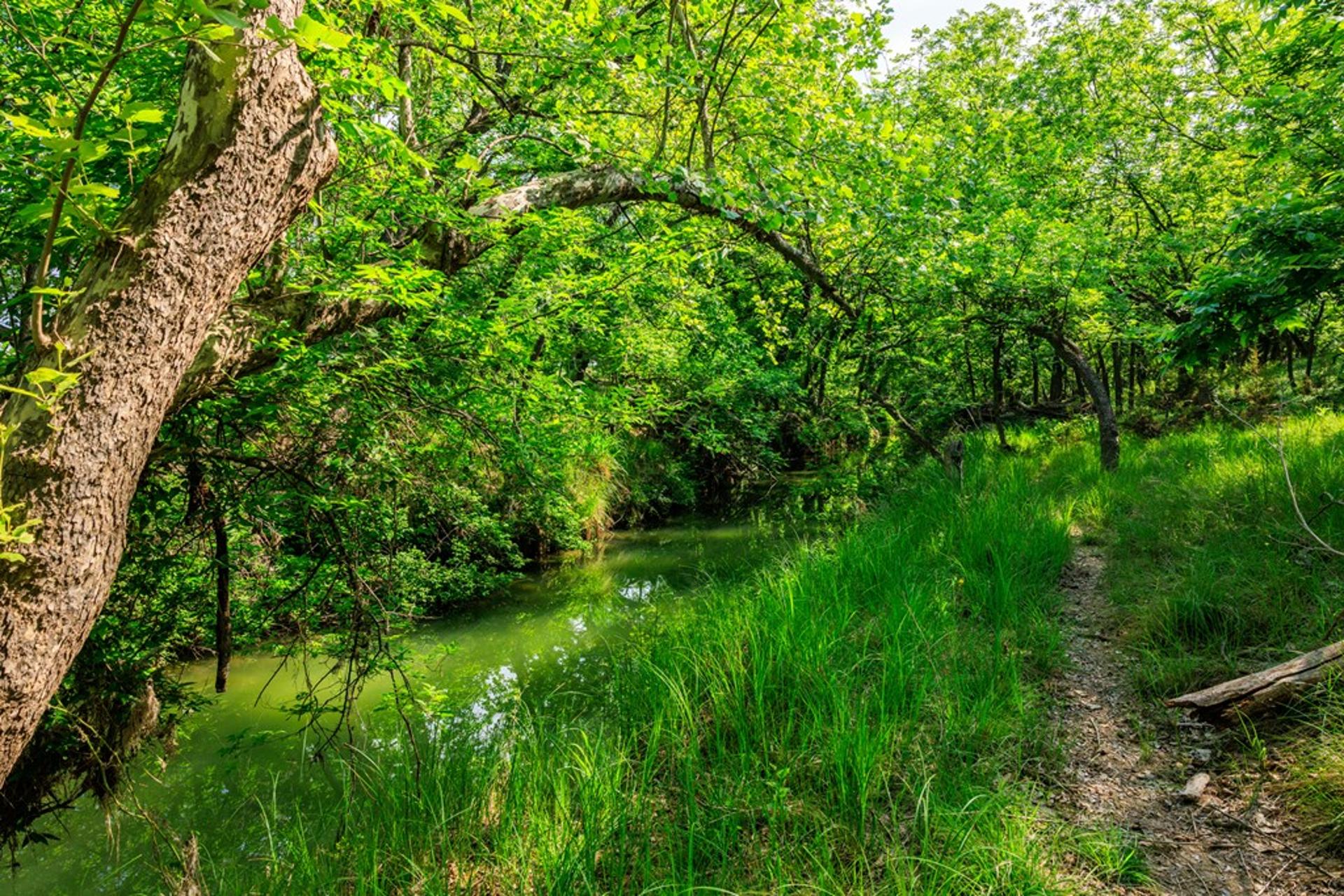 199 Lexington Dr, Fredericksburg, TX, 78624