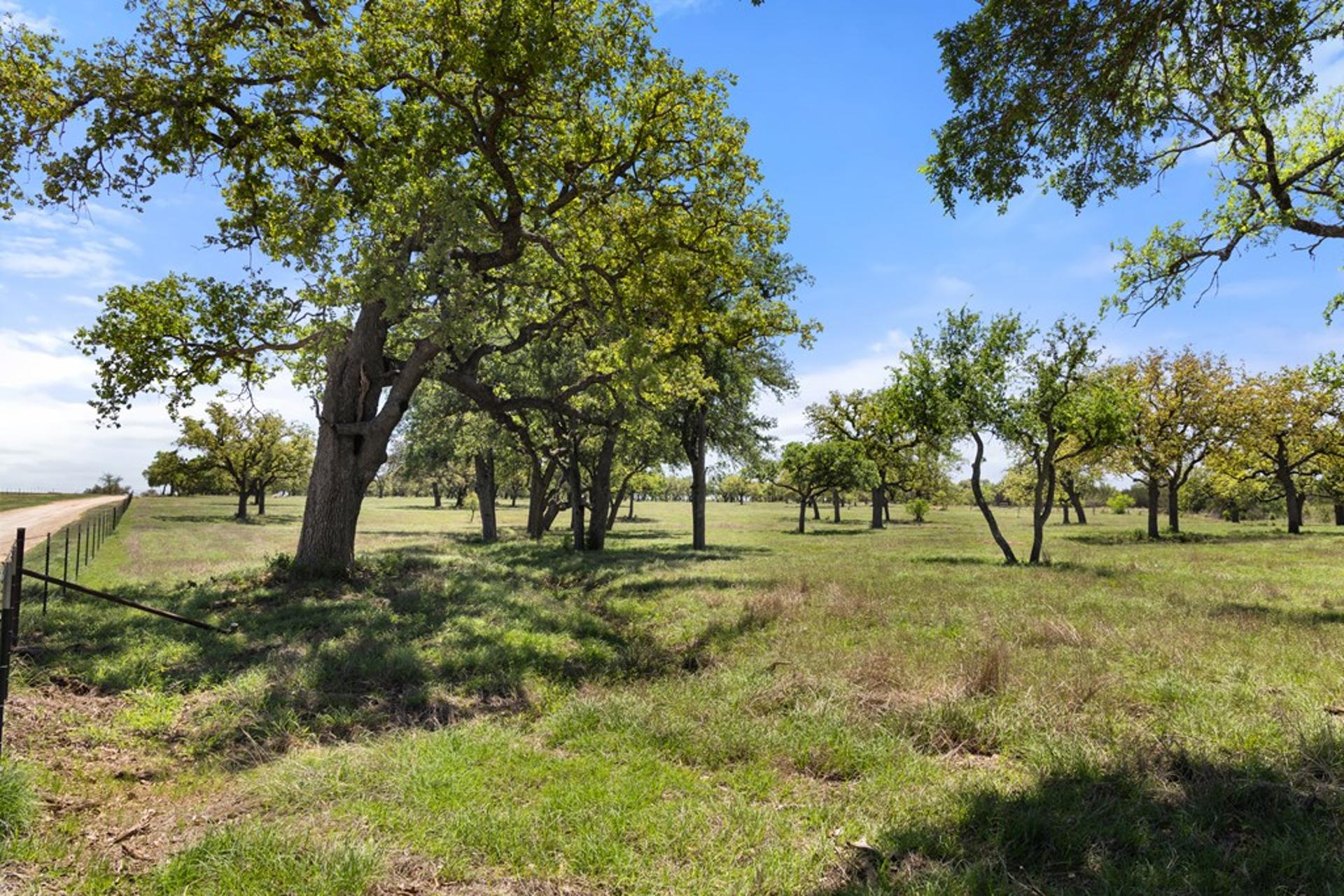 365 Gipson Road, Johnson City, TX, 78636