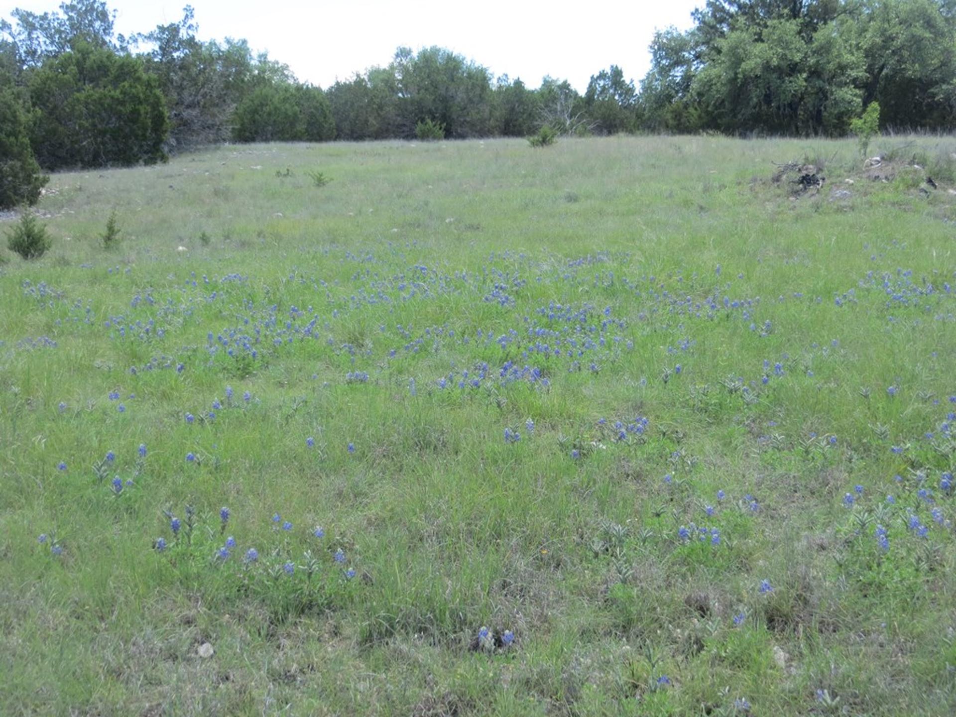 24 KC 24, Junction, TX, 76849