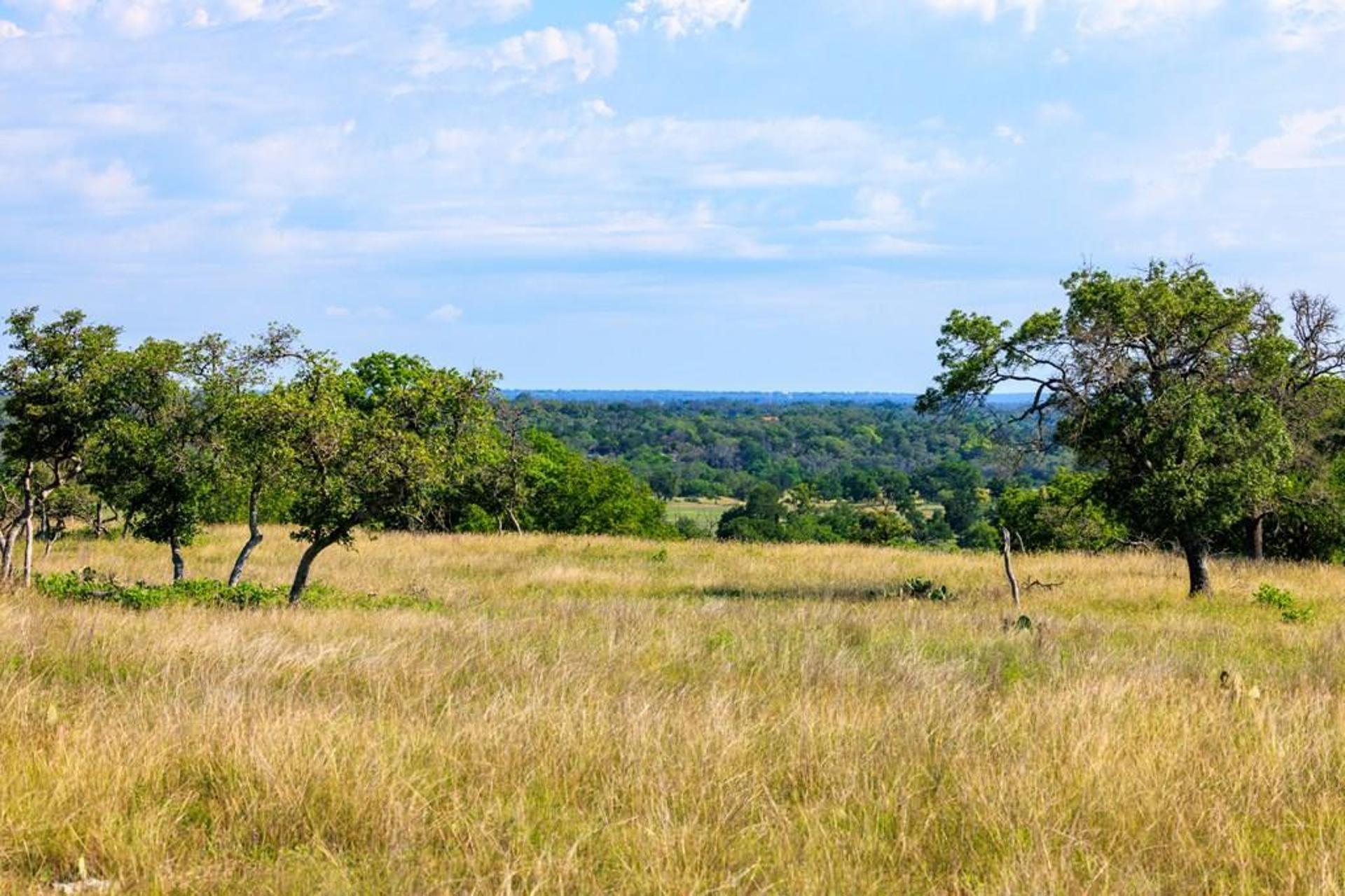 481 Living Water Ranch Rd., Harper, TX, 78631