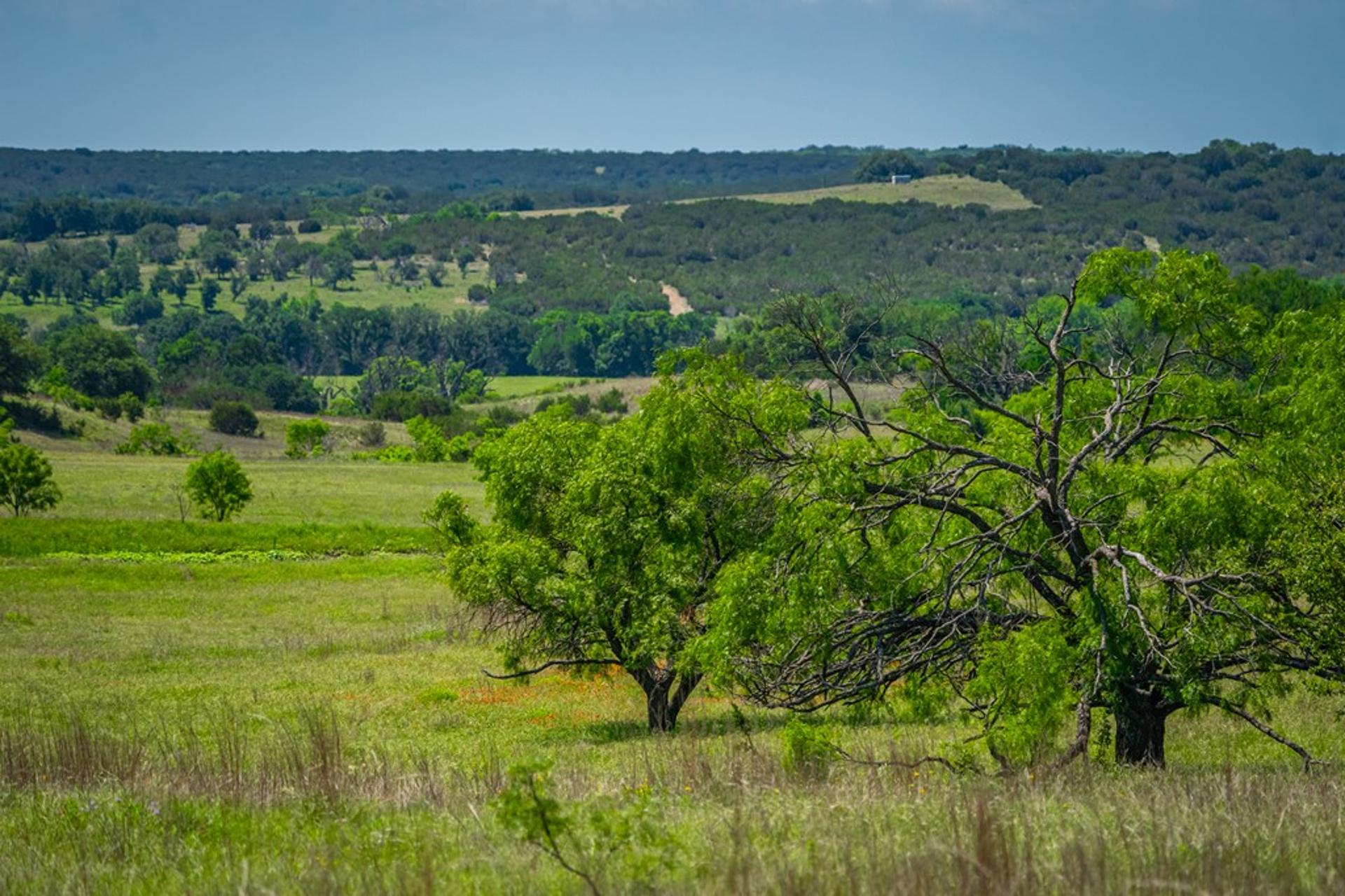 0 County Rd 535, Evant, TX, 76525