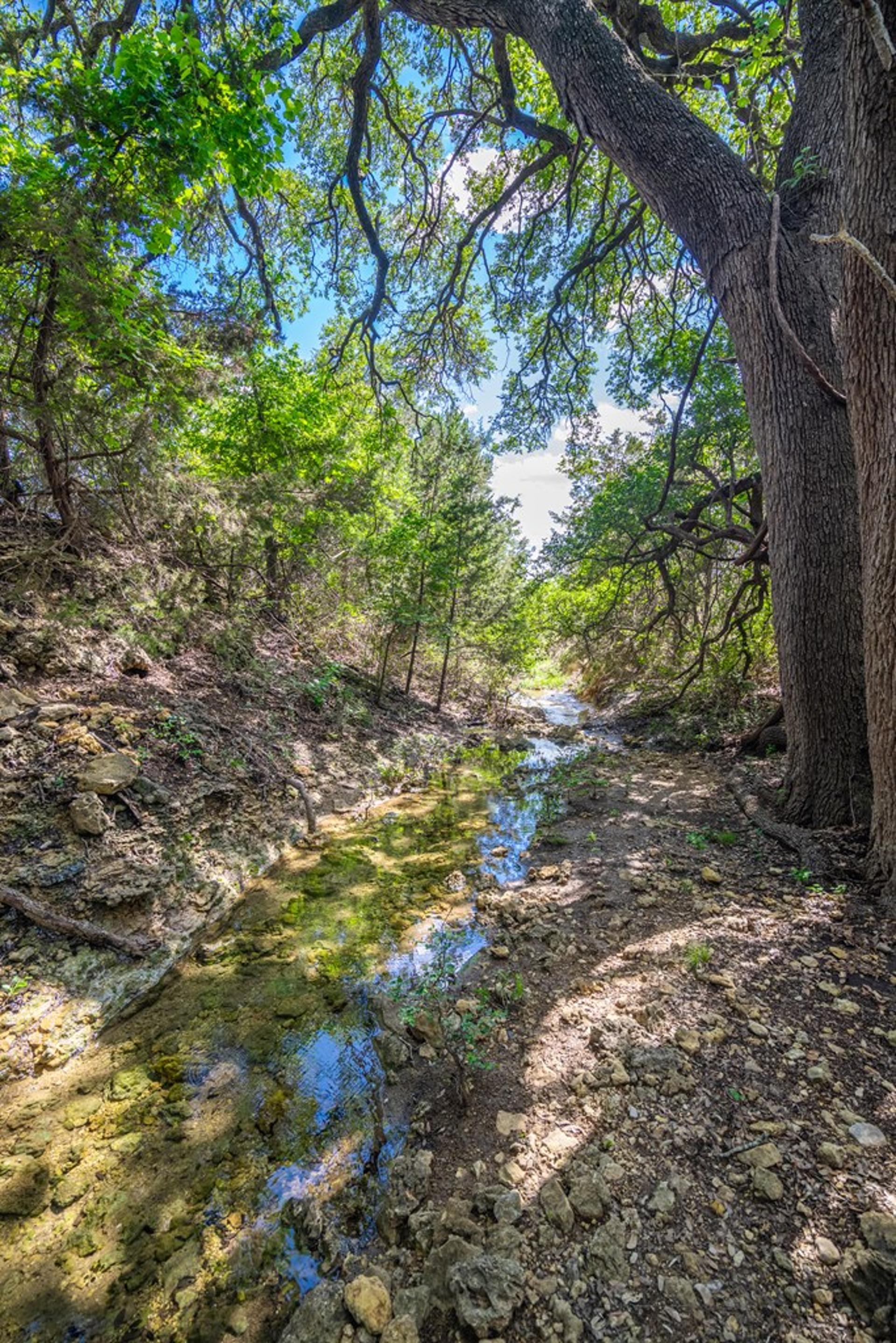 9750 FM 243, Bertram, TX, 78605