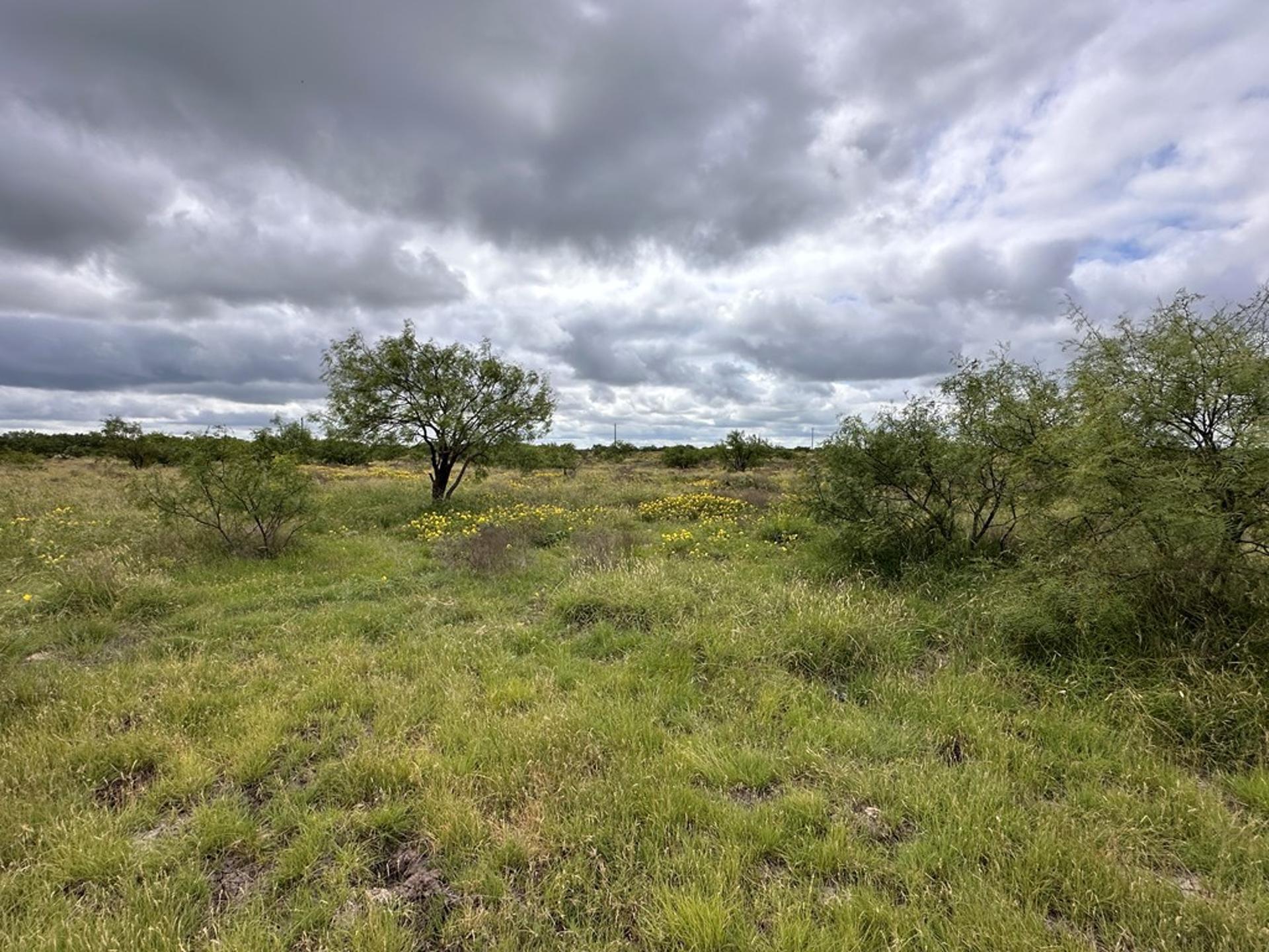TBD County Rd 408, Eldorado, TX, 76936