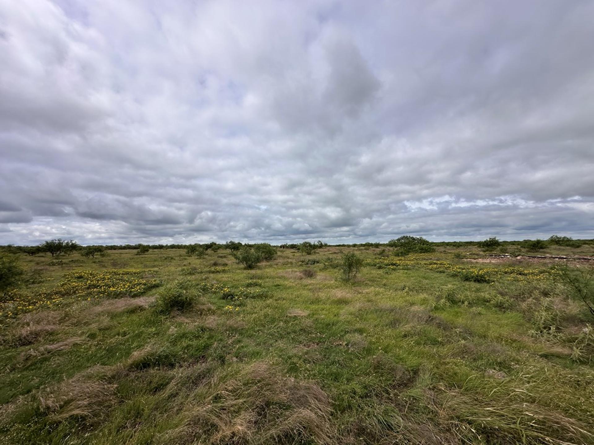 TBD County Rd 408, Eldorado, TX, 76936