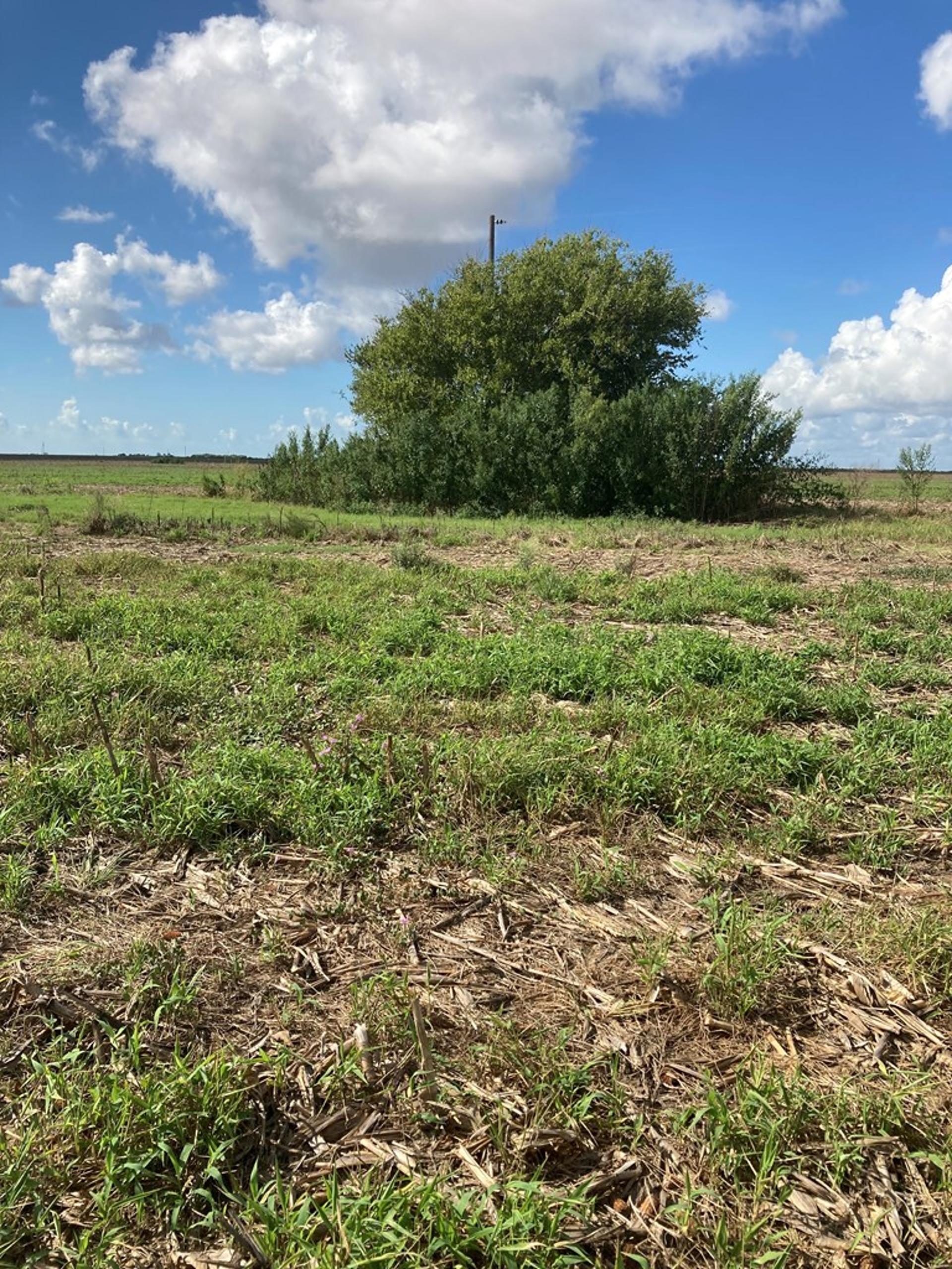 3361 FM 1862, Palacios, TX, 77465