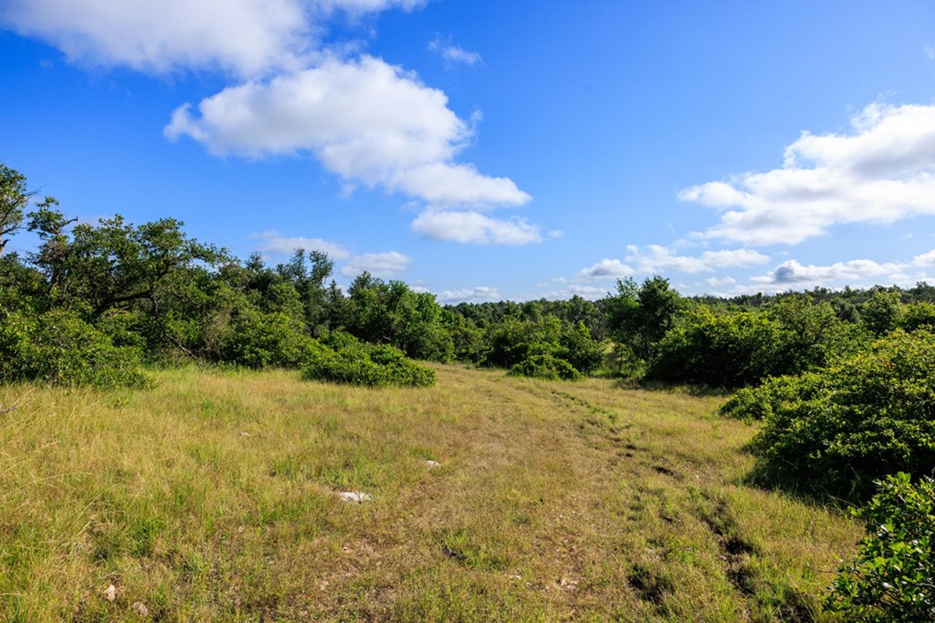 875 Gypsum Mine Rd, Fredericksburg, TX, 78624