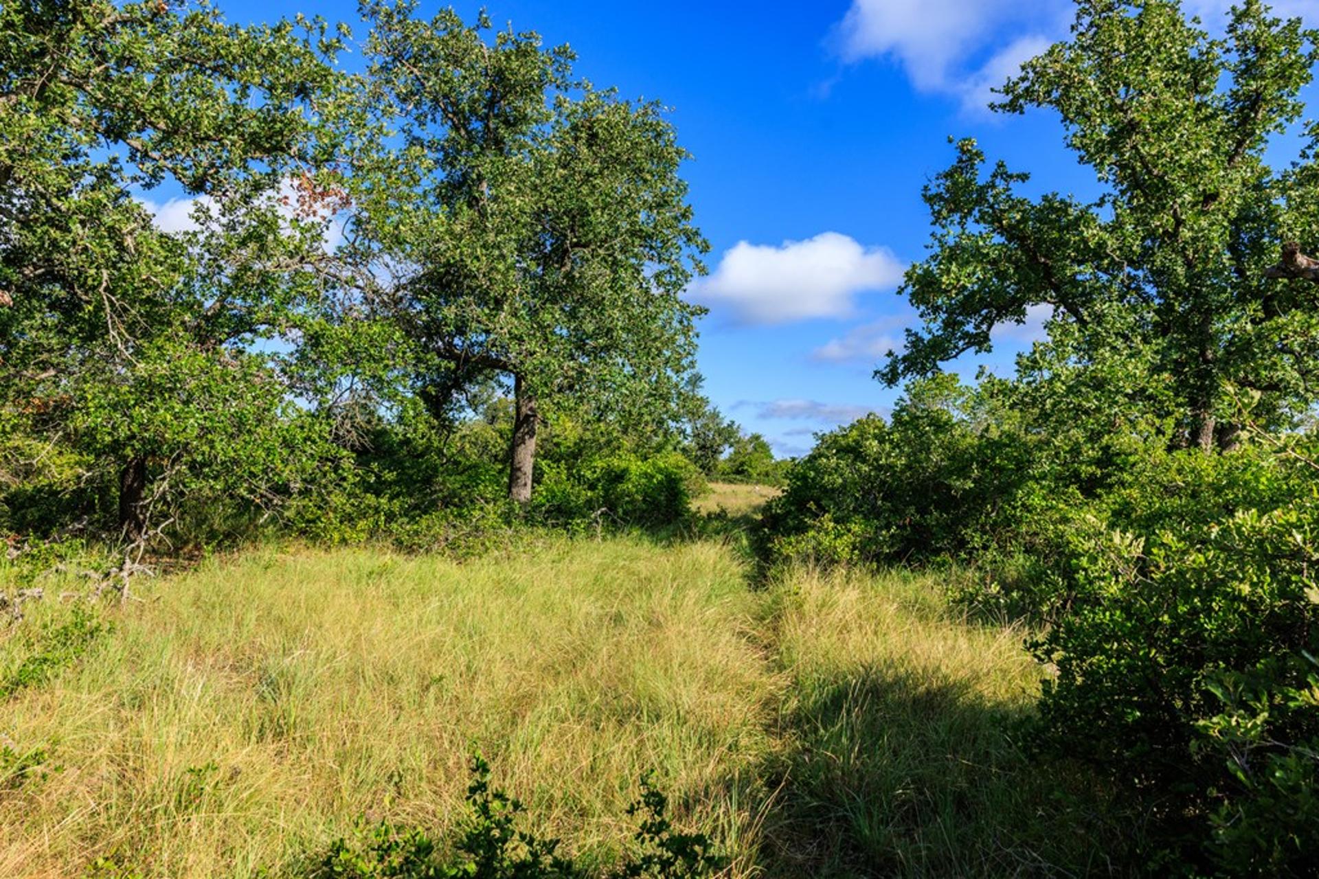 875 Gypsum Mine Rd, Fredericksburg, TX, 78624