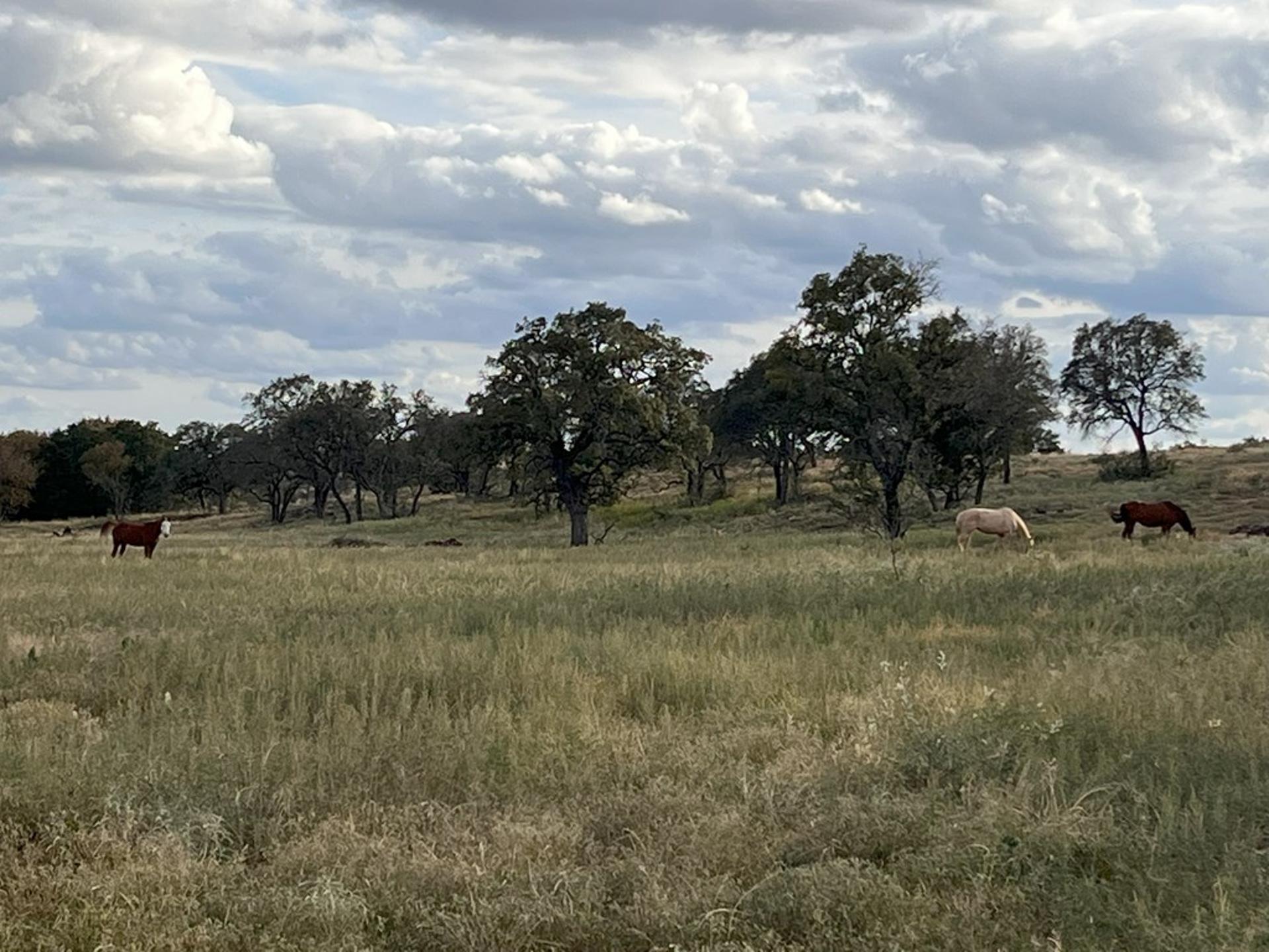 300 Private Road 626, Voca, TX, 76887