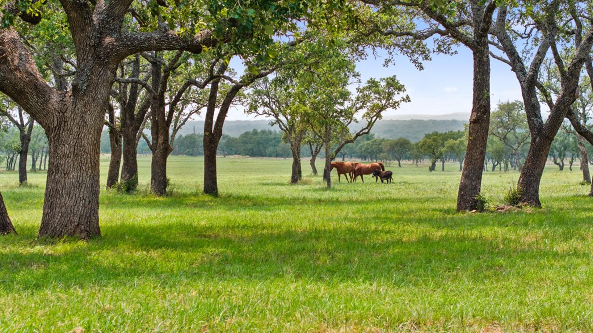 3431 Klett Ranch Rd, Johnson City, TX, 78636