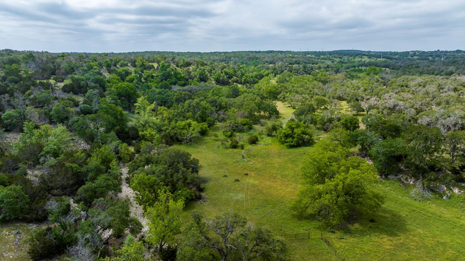 1820 Pressler-Henke Rd, Fredericksburg, TX, 78624