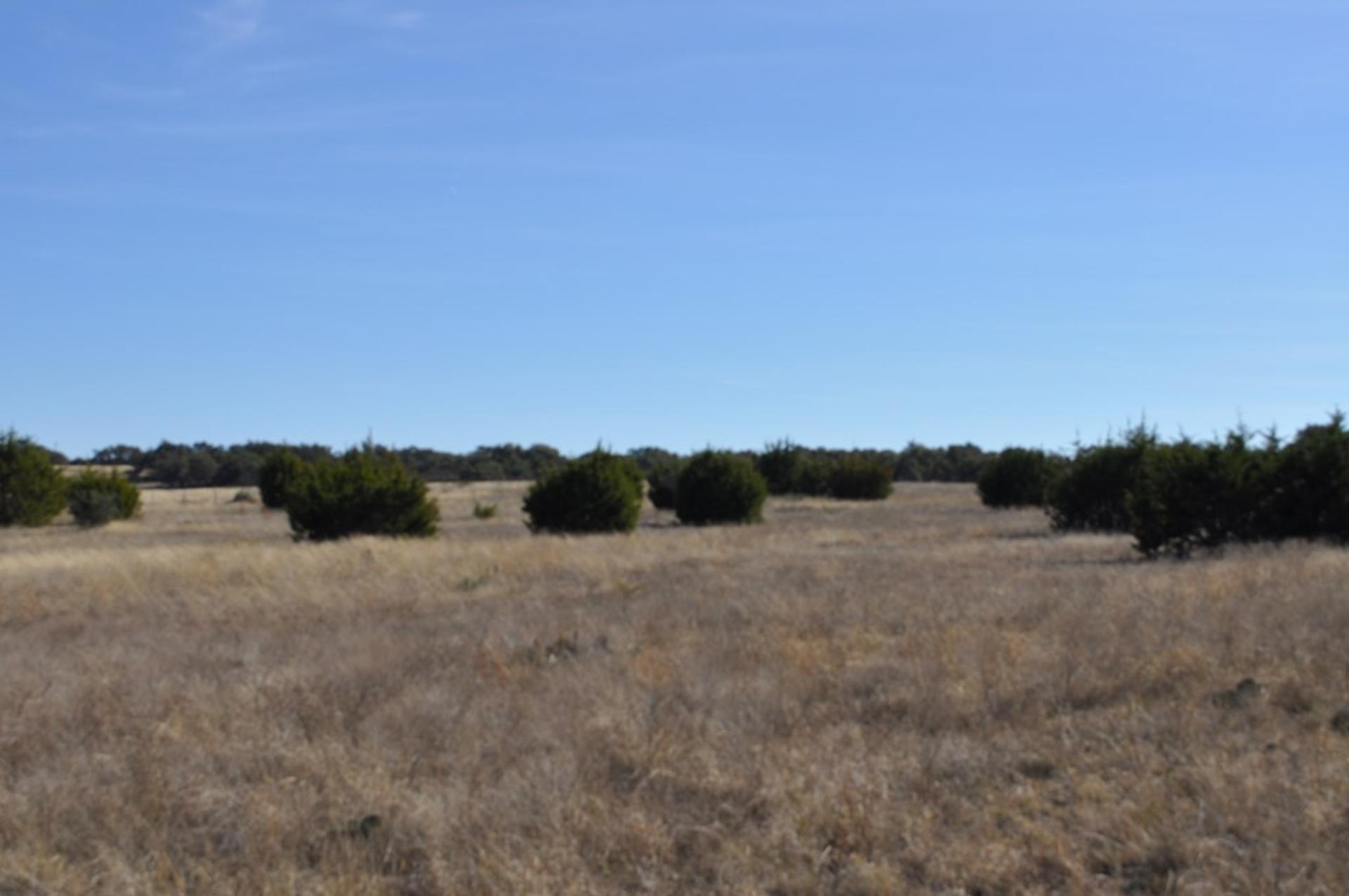 17987 FM 479, Harper, TX, 78631