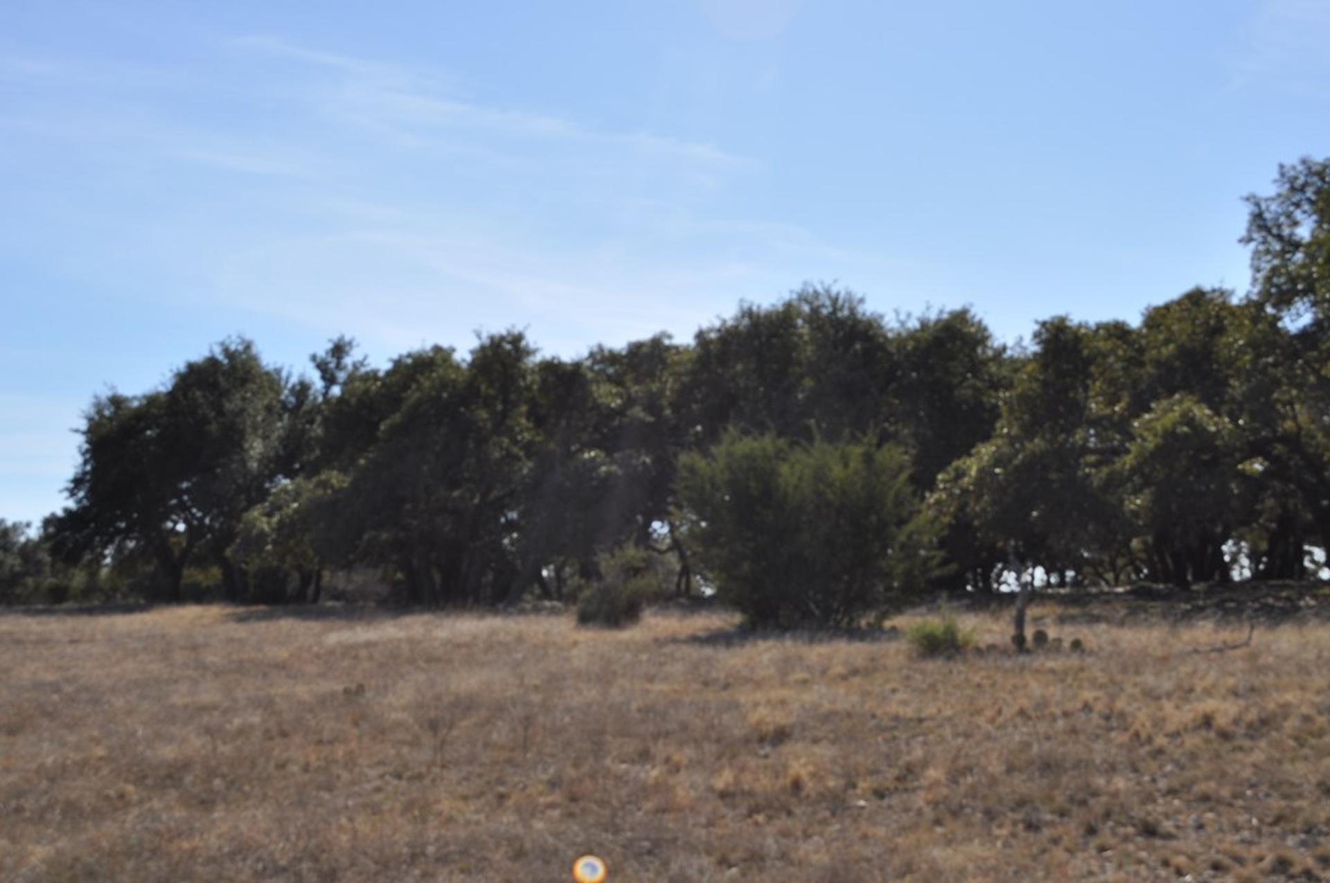 17987 FM 479, Harper, TX, 78631
