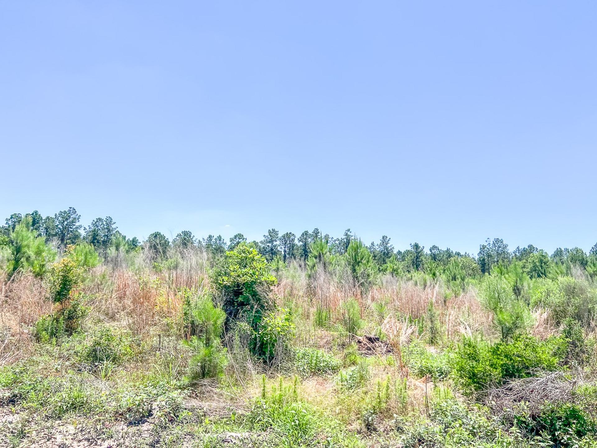 T-2 Union Springs Road, Corrigan, TX, 75939