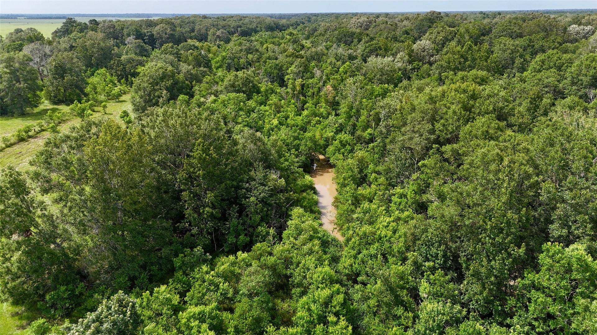 31100 Old Sour Lake, Sour Lake, TX, 77659
