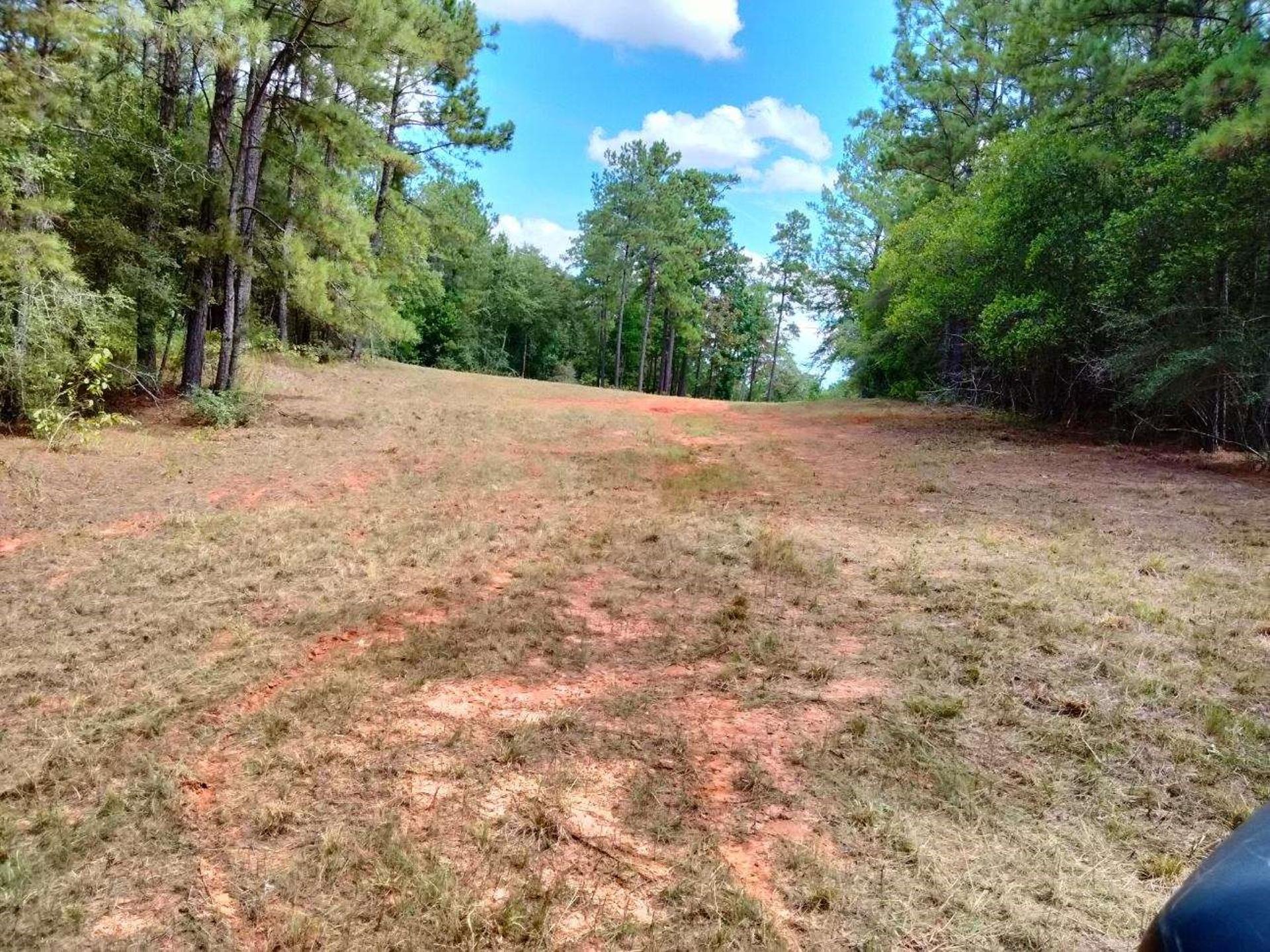 620 Snell, Livingston, TX, 77351