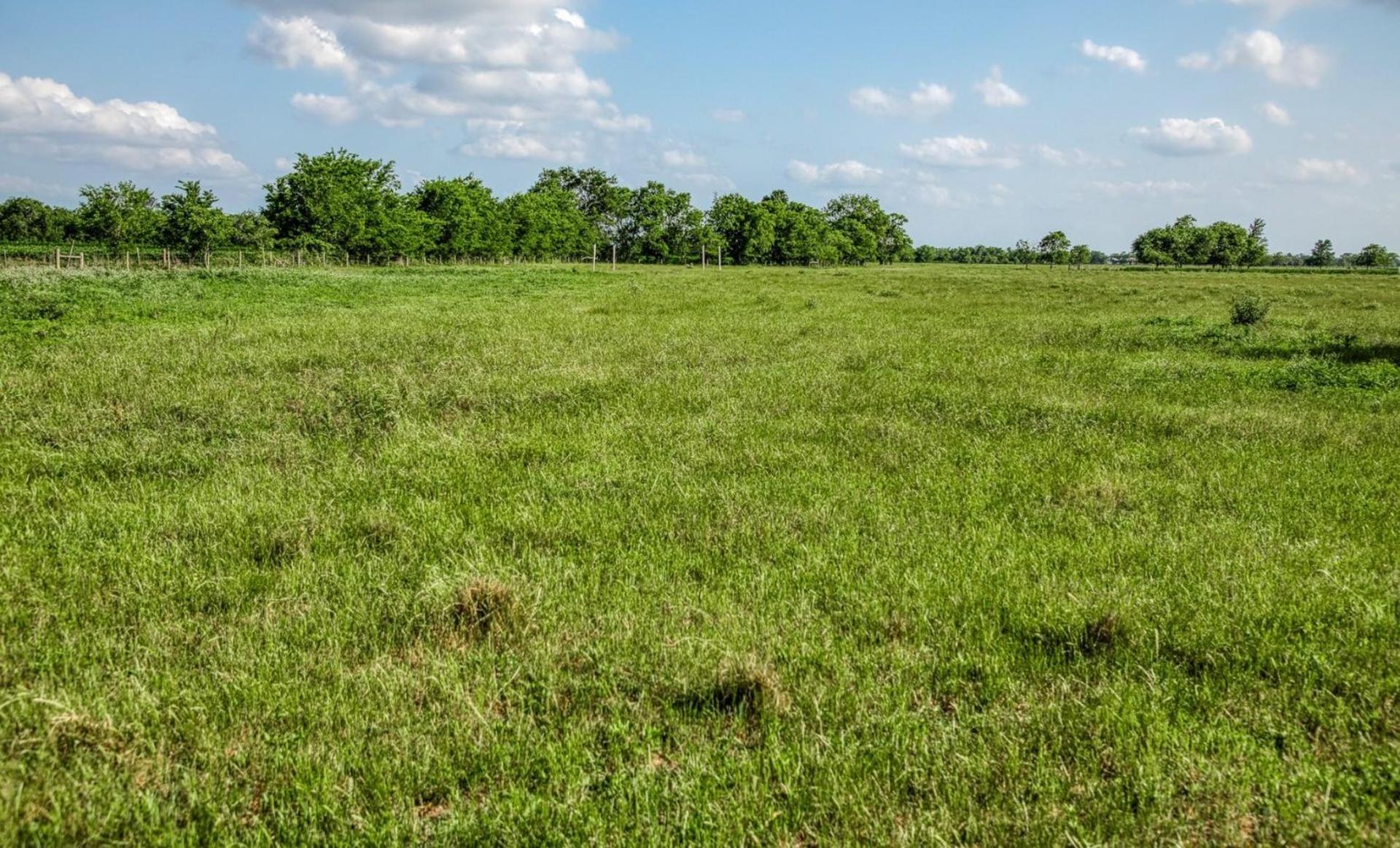 1923 Beasley West End, Beasley, TX, 77417