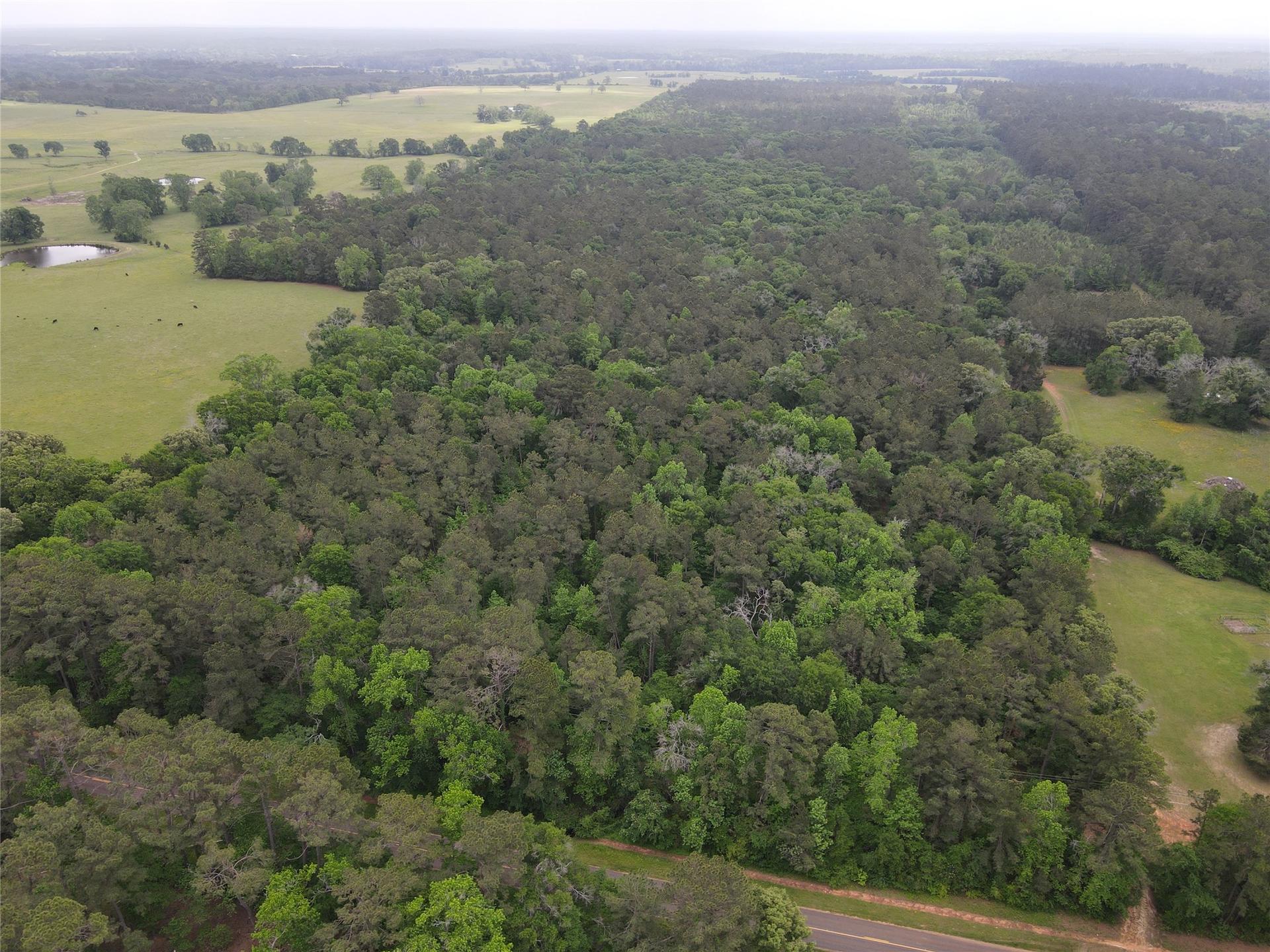 TBD FM 2110, Crockett, TX, 75835
