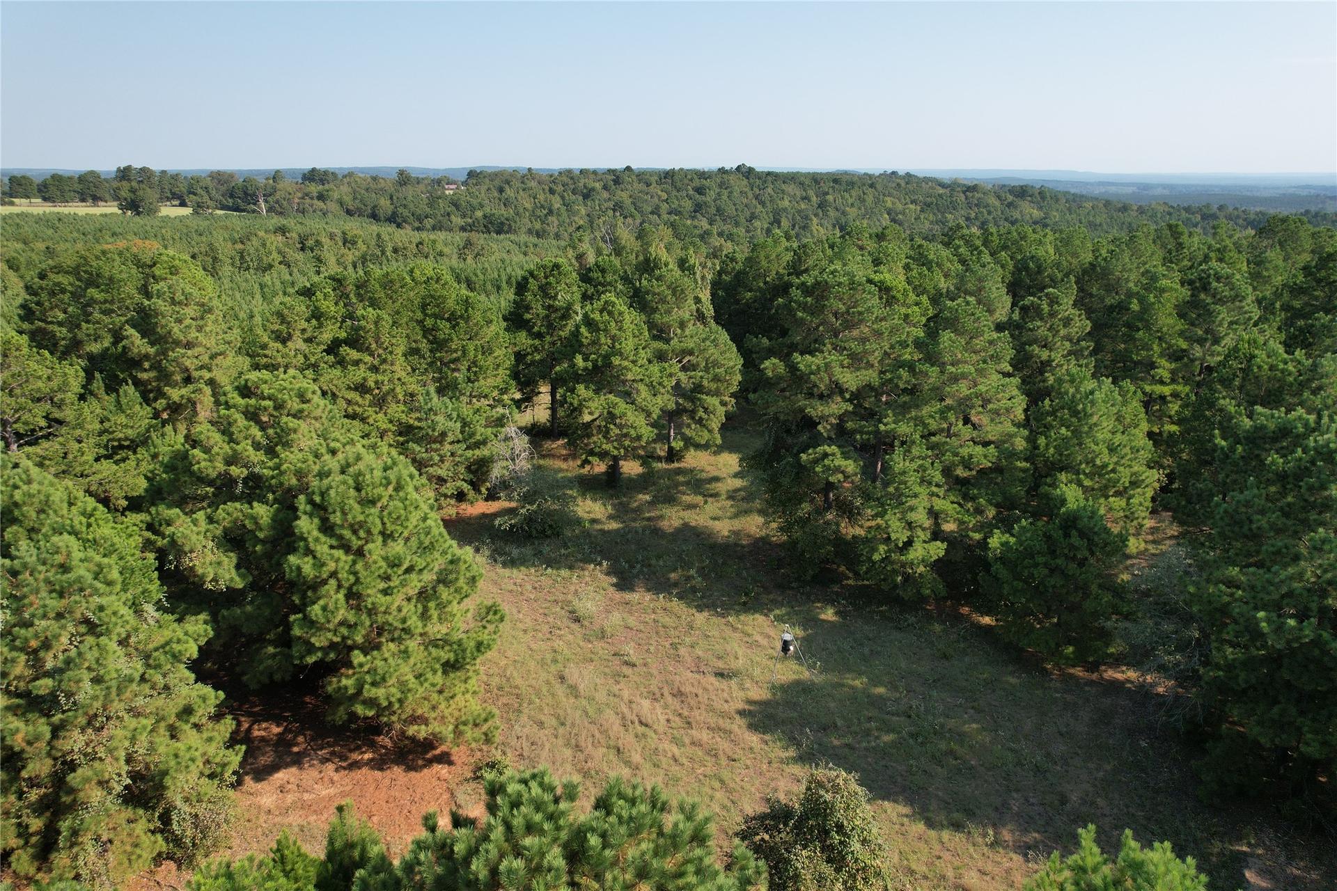 TBD An County Road 1220, Grapeland, TX, 75844