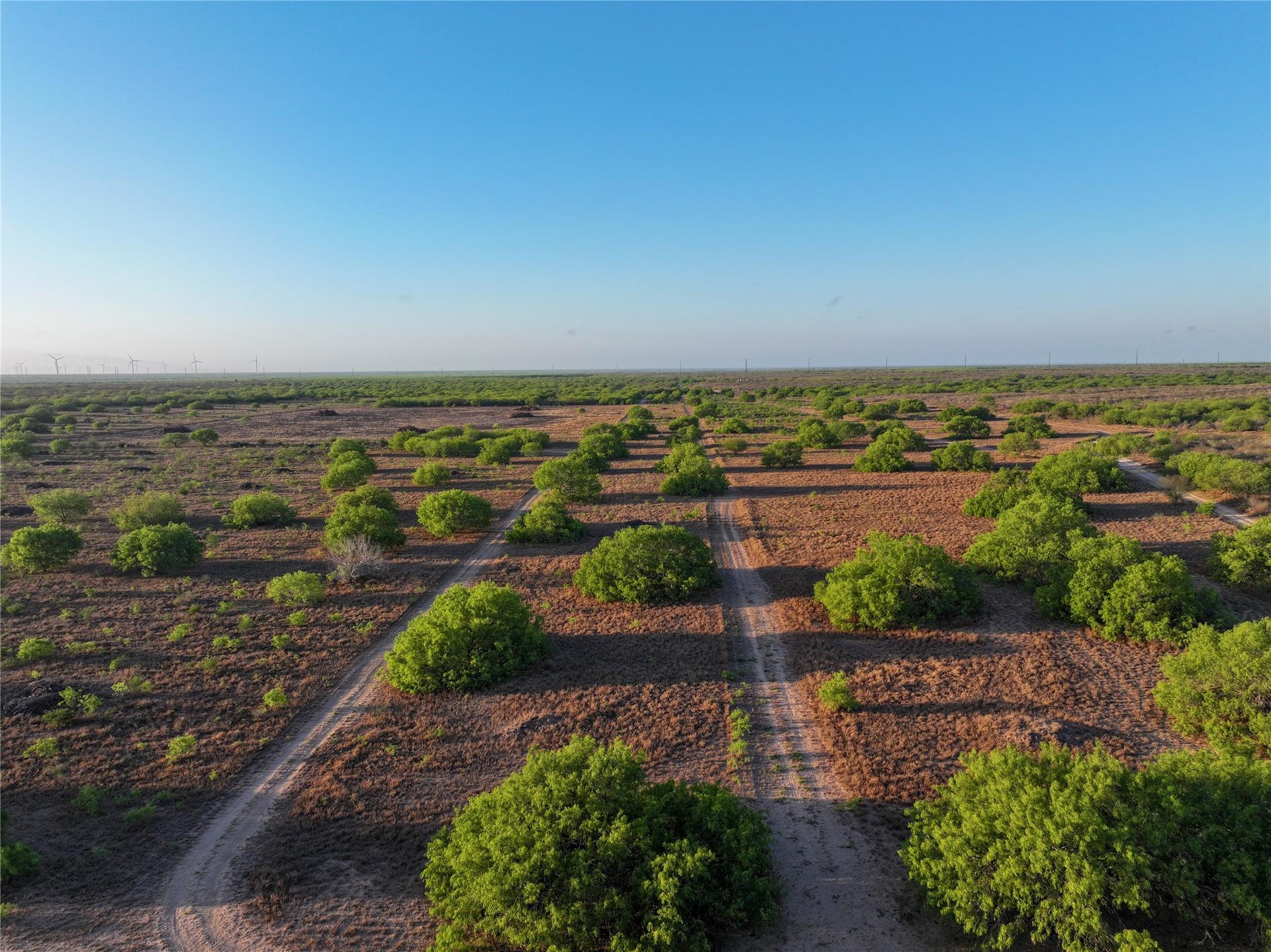 0 Las Brisas Rd, Rio Grande City, TX, 78582