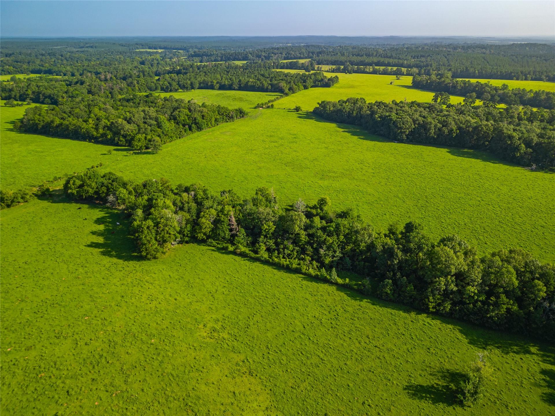 0 Farm to Market 256, Woodville, TX, 75979