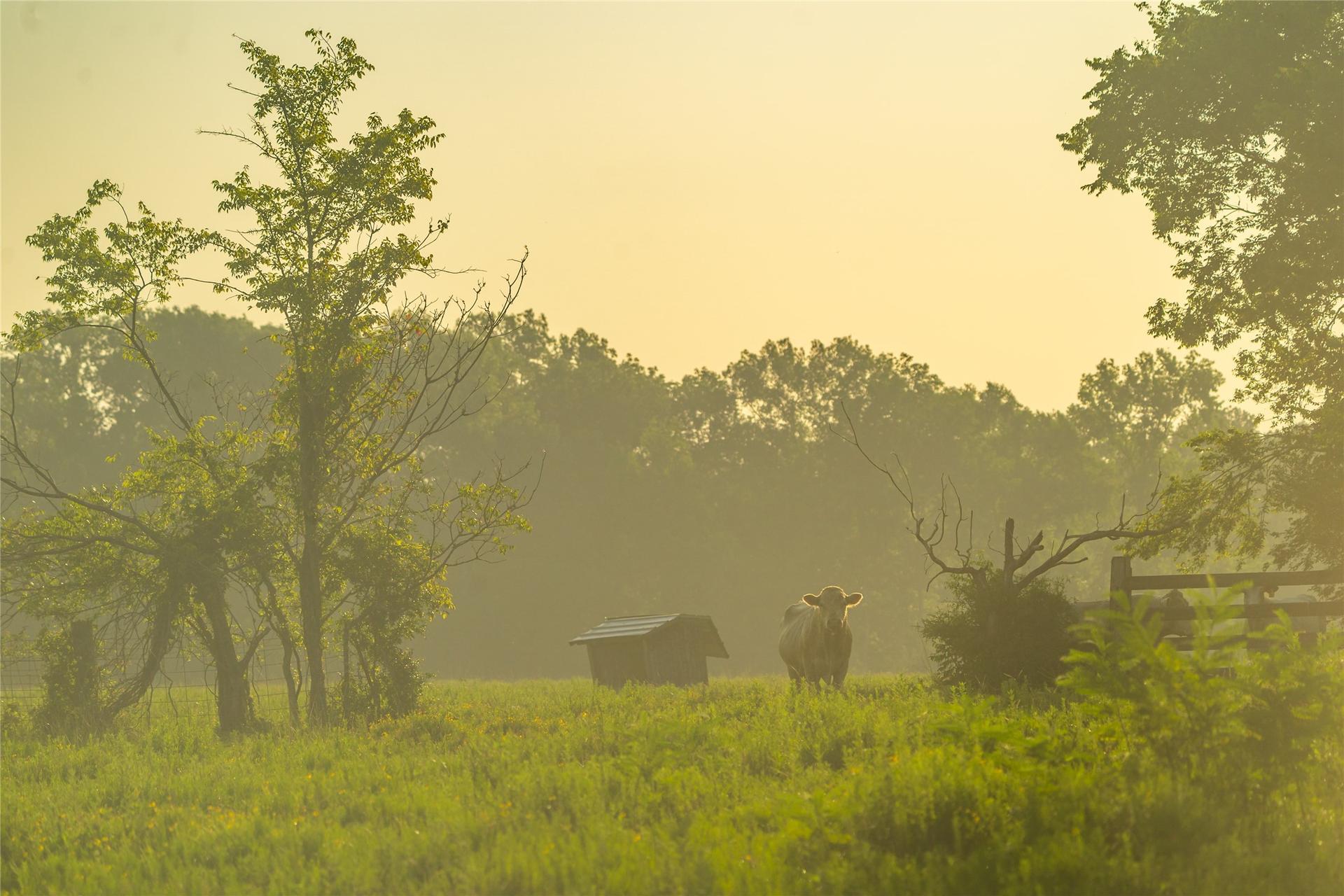 0 Farm to Market 256, Woodville, TX, 75979