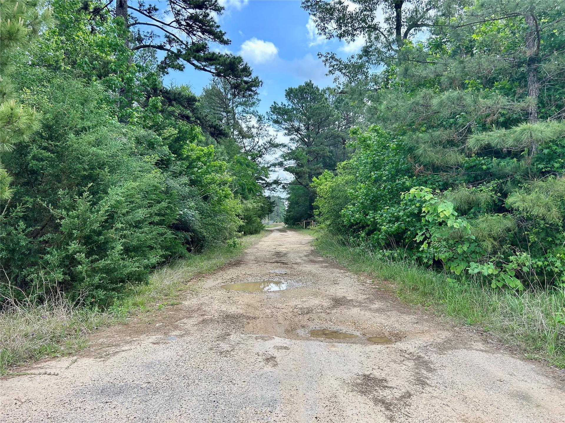 146 STATE HIGHWAY 146 S, Livingston, TX, 77351