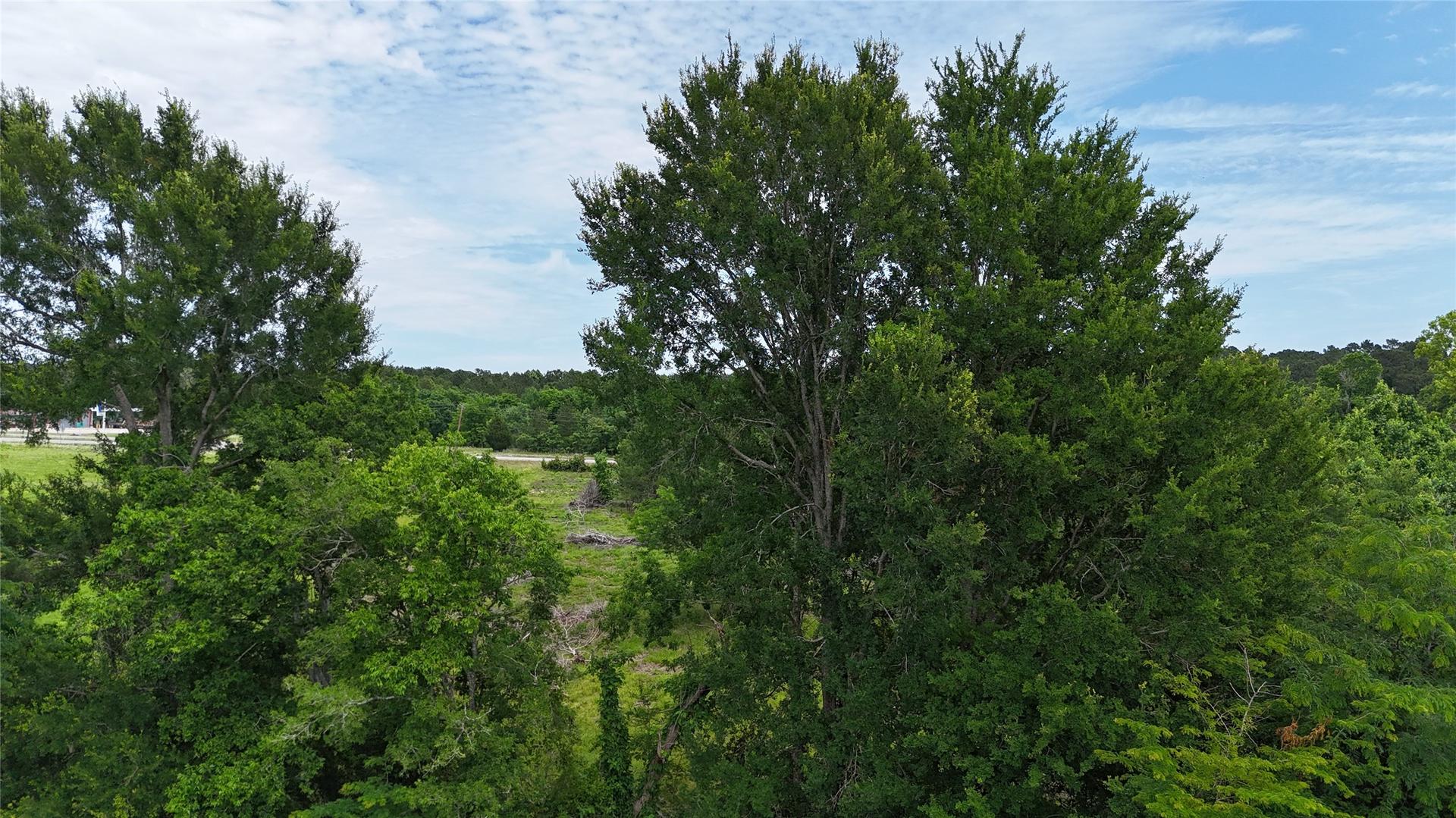 TBD US Highway 59, Livingston, TX, 77351