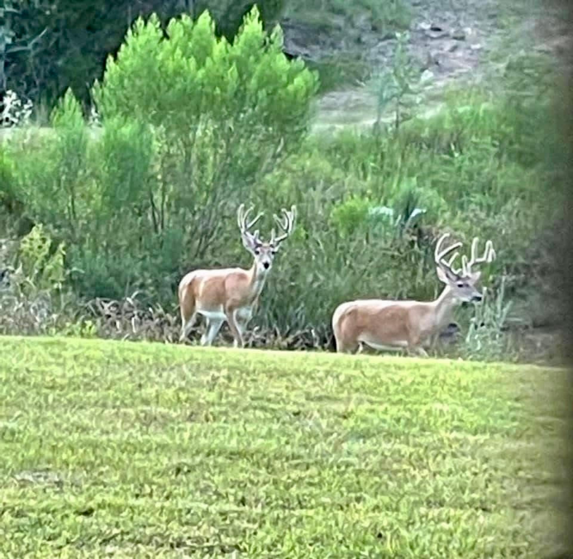 1108 County Road 152, Hallettsville, TX, 77964