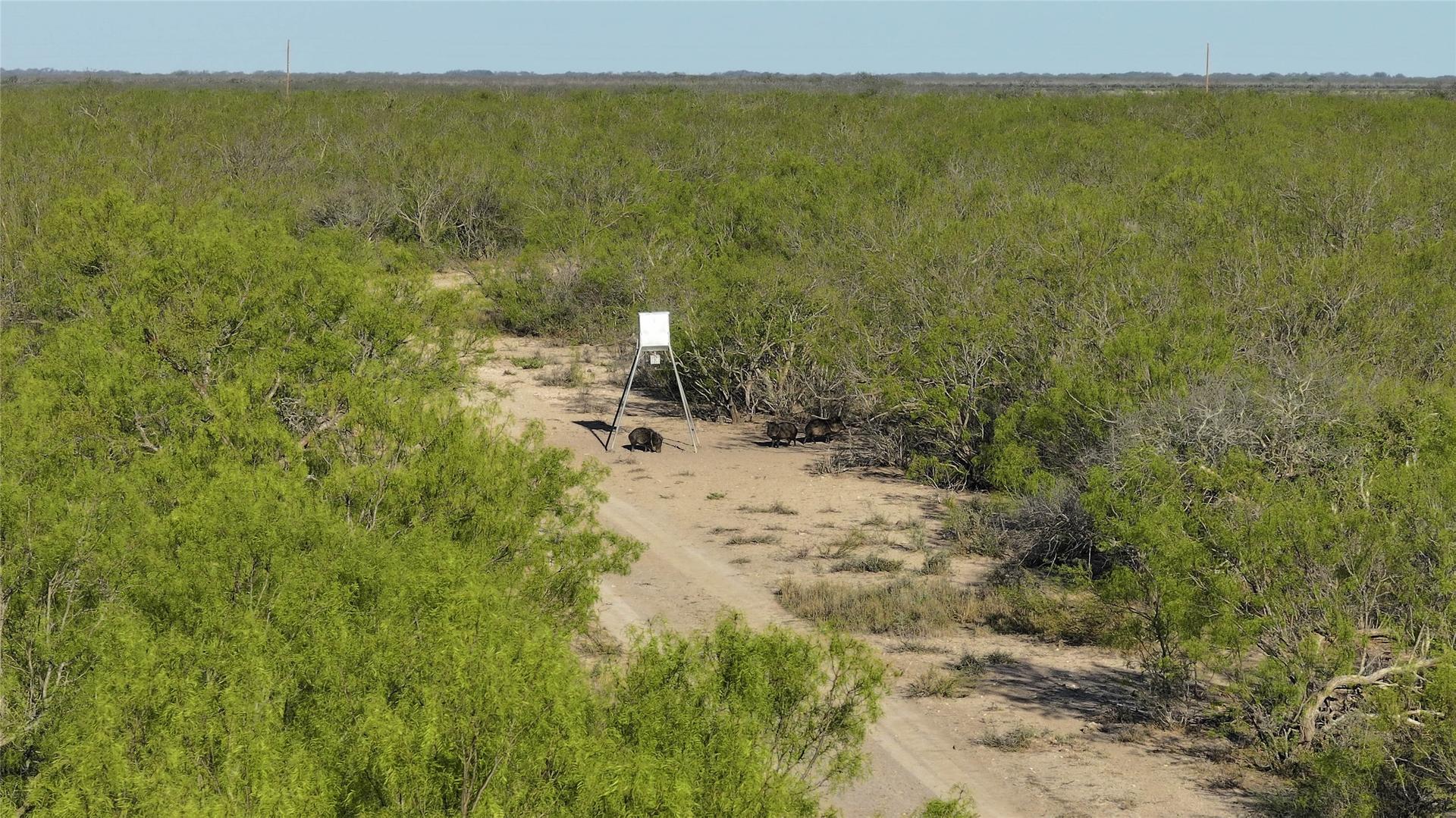 12355 Texas 131, Brackettville, TX, 78832