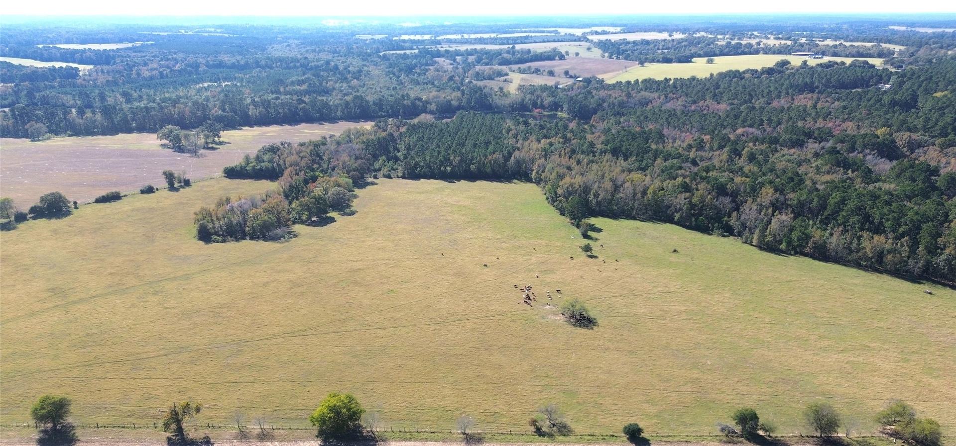 485 Private Road 6142, Grapeland, TX, 75844