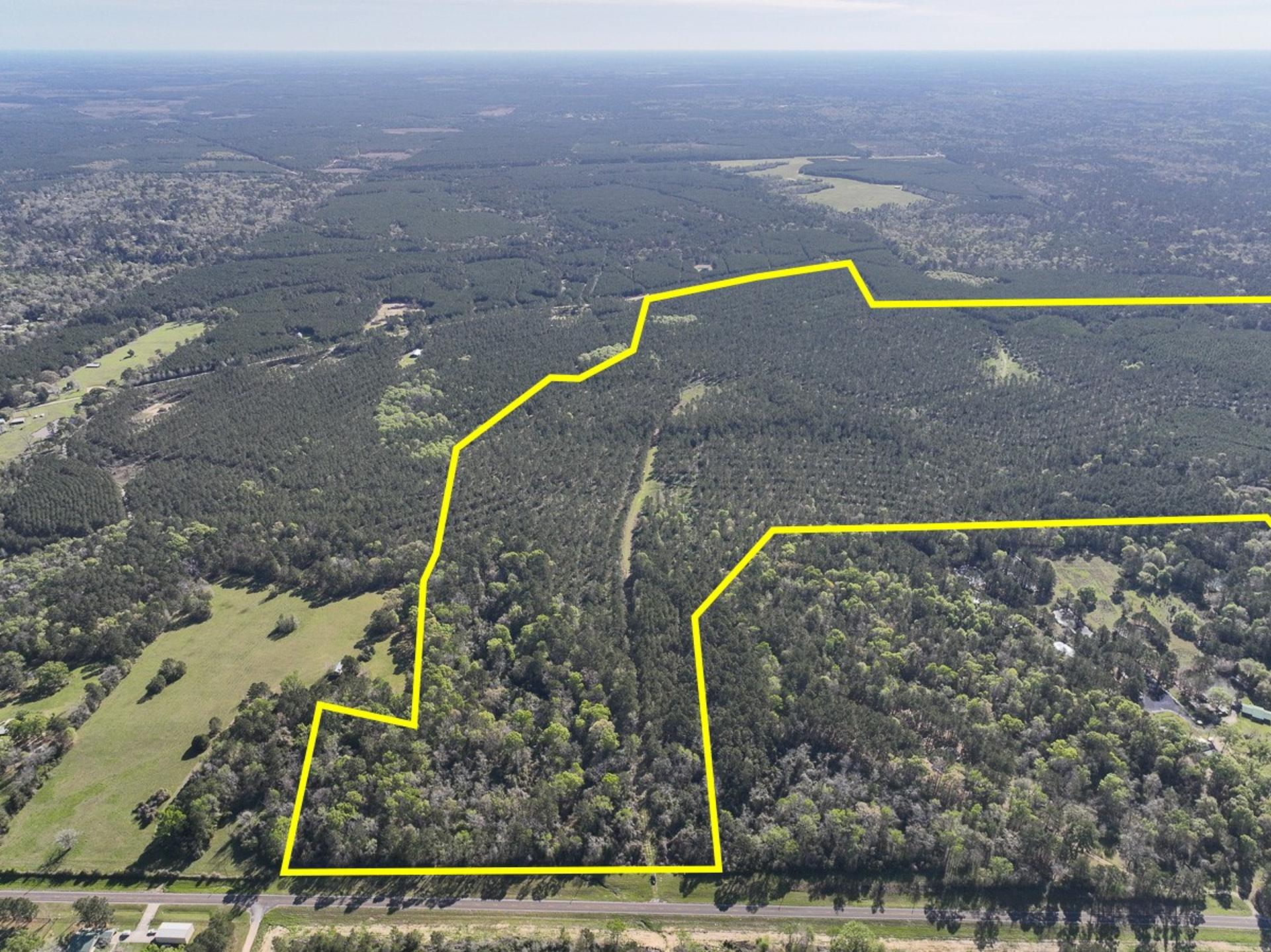 0 FM 2610, Livingston, TX, 77351