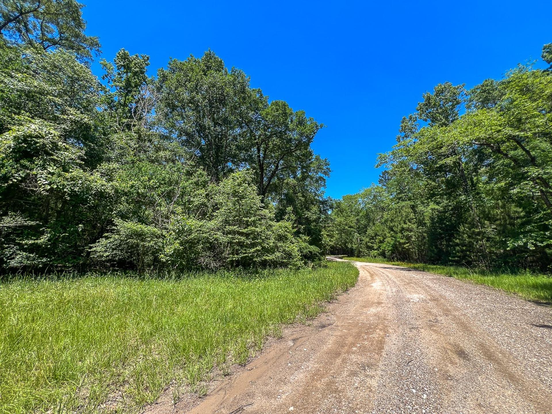 T-6 Punk Road, Corrigan, TX, 75939