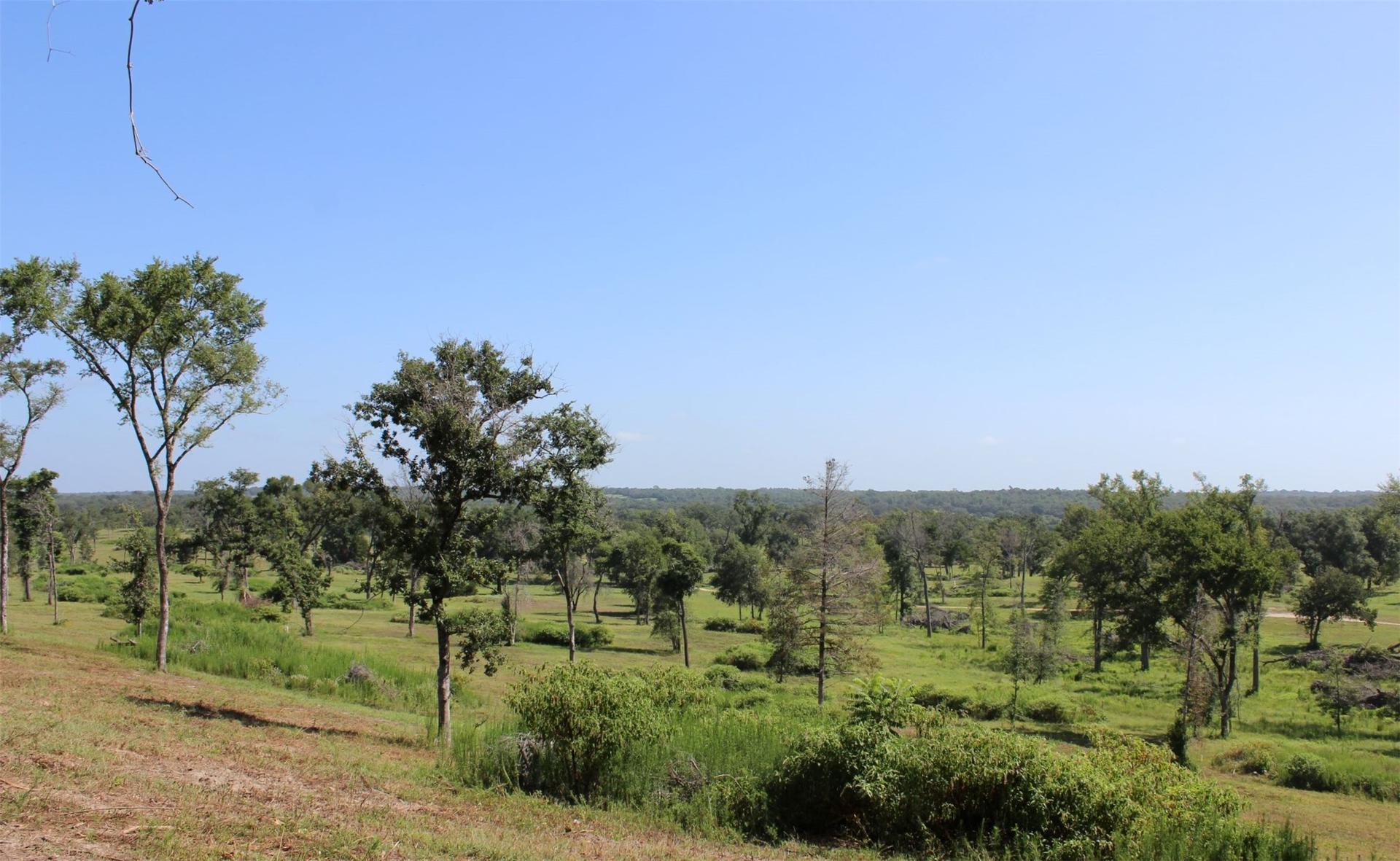 16455 I 45 s Feeder, Centerville, TX, 75833