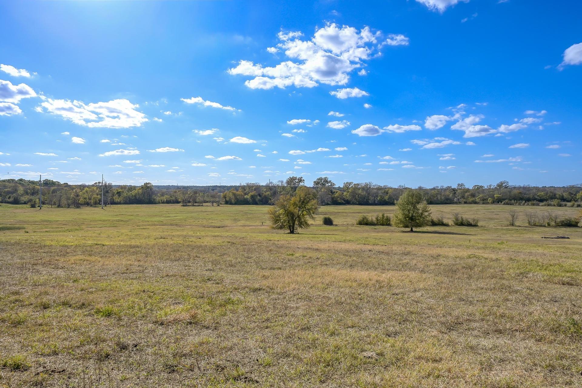 280 ACRES Spring Branch, Montgomery, TX, 77316