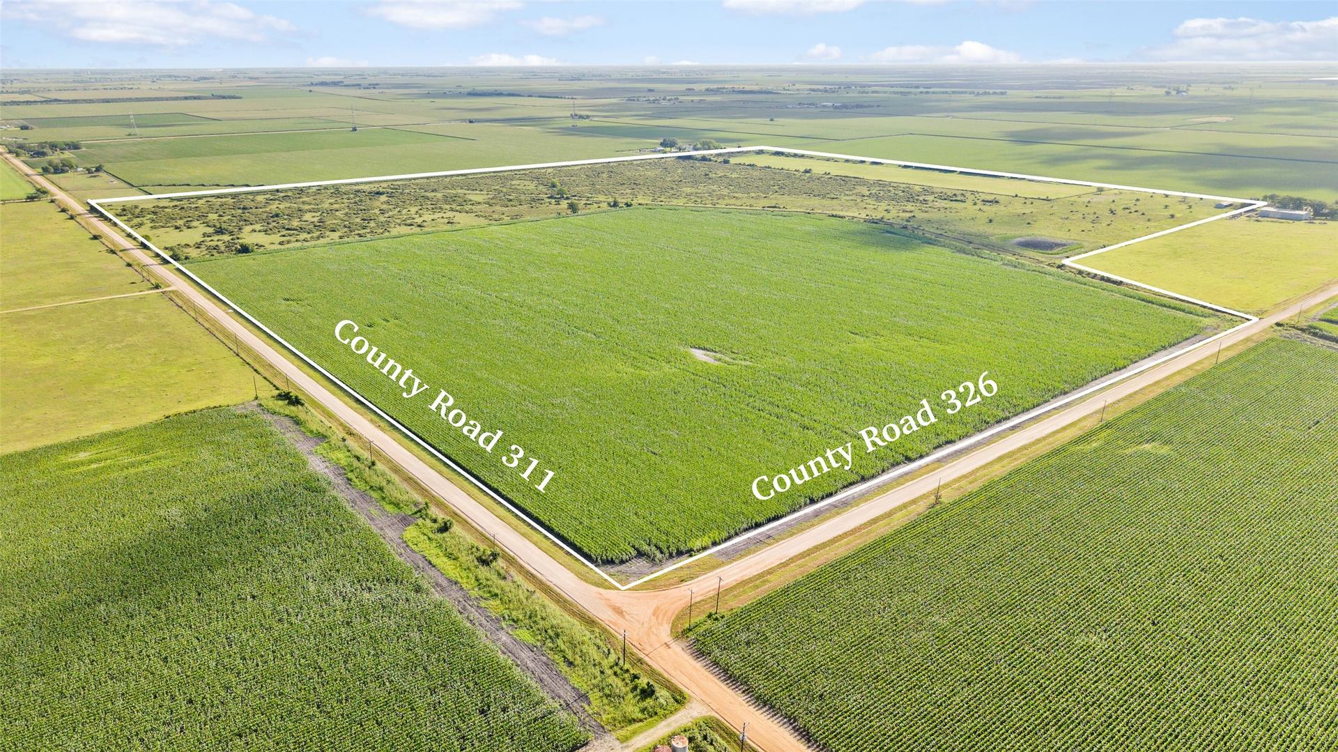 00 Cr 311, Louise, TX, 77455