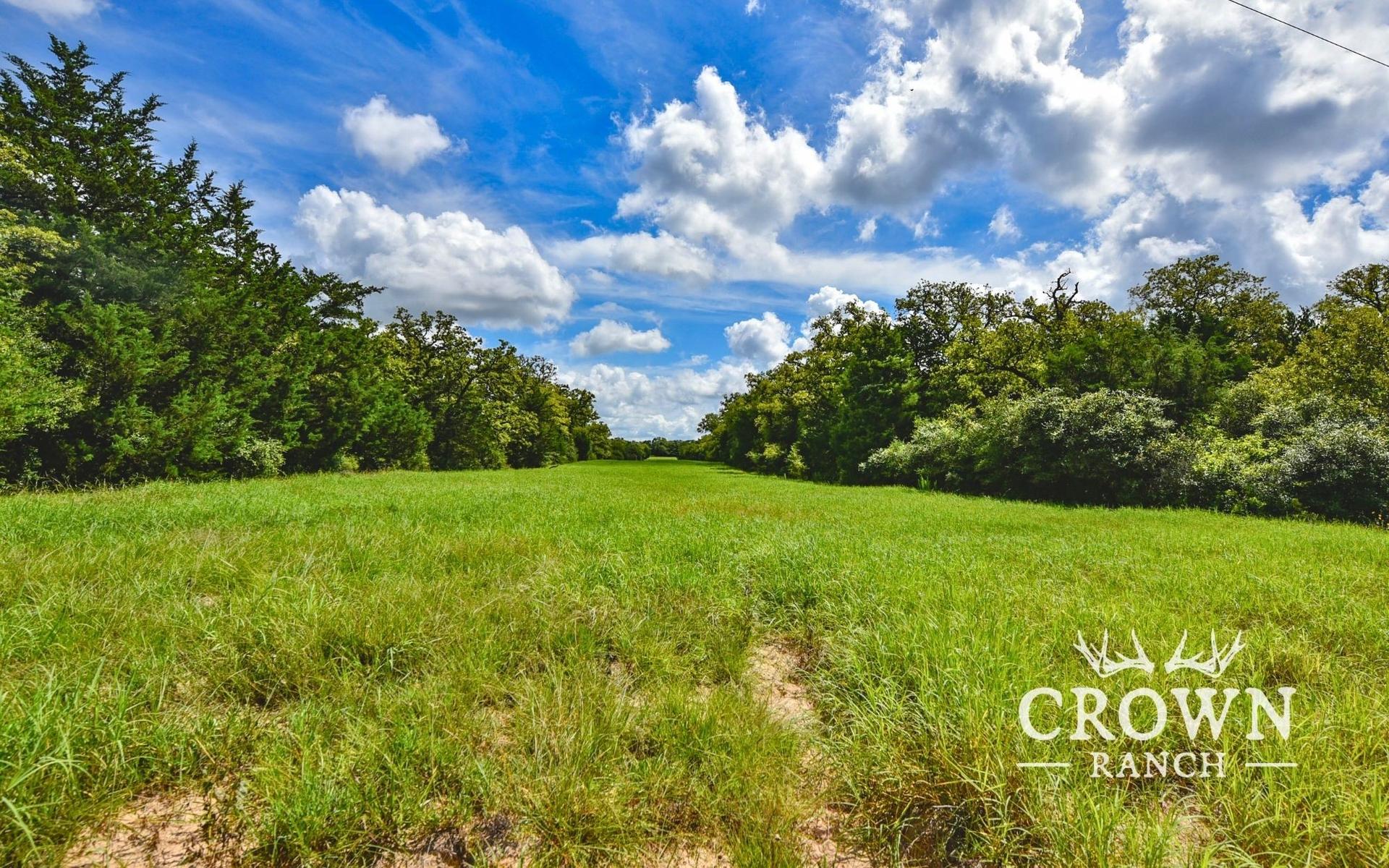 TBD FM 908 - 657 acres, Caldwell, TX, 77836