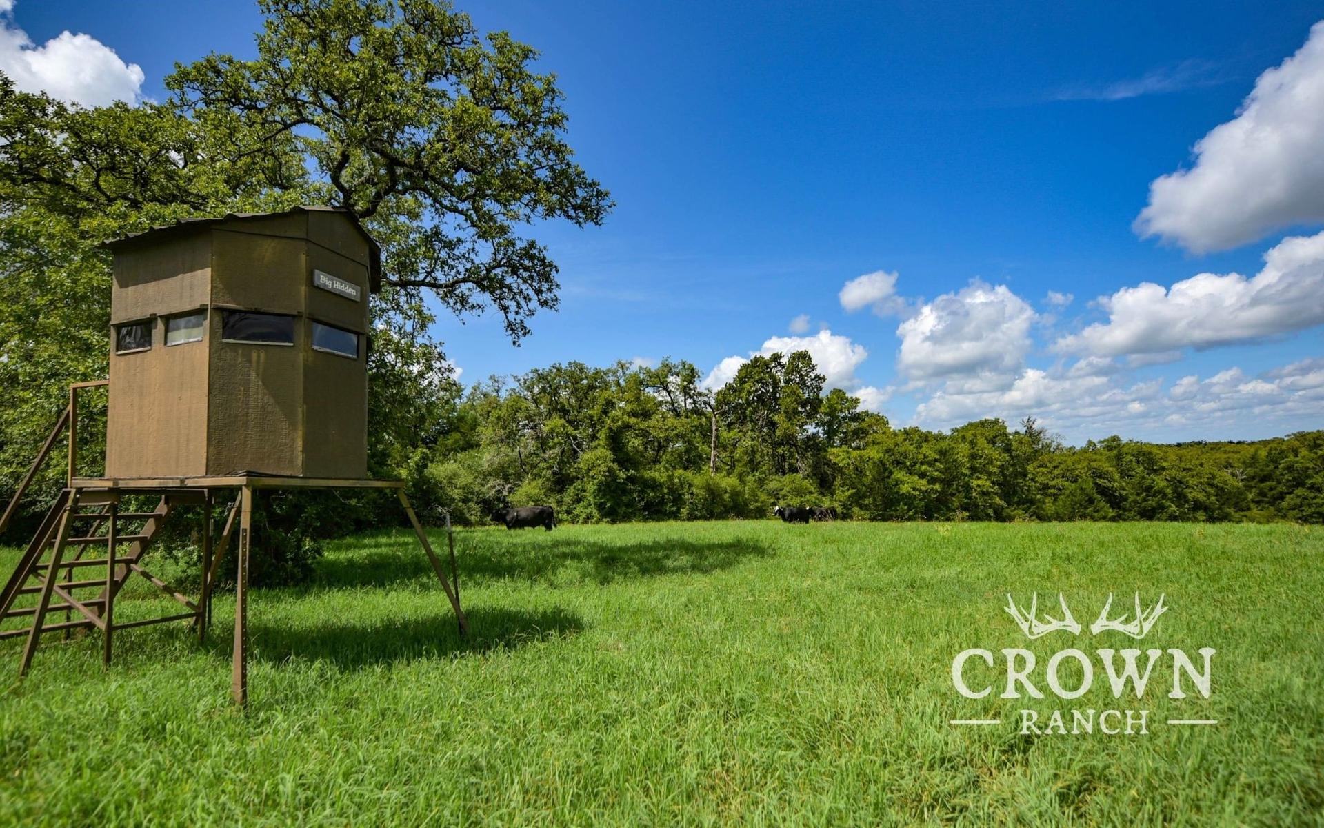 TBD FM 908 - 657 acres, Caldwell, TX, 77836