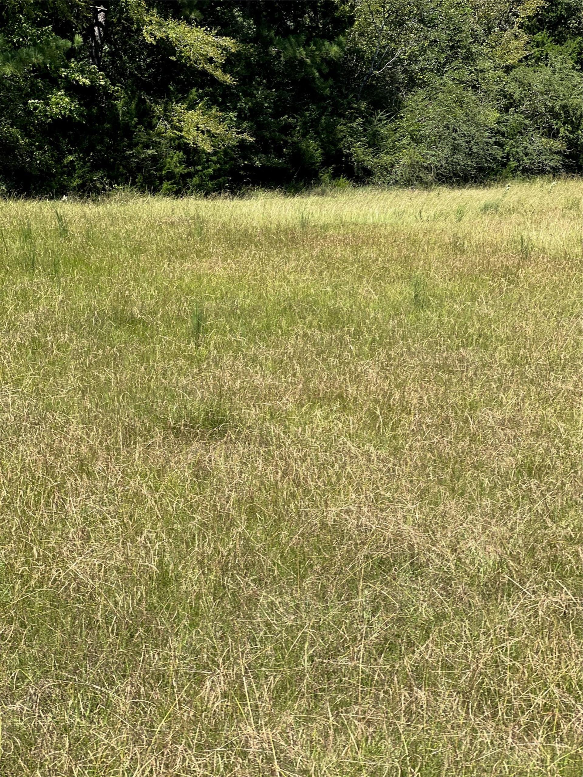 000 Eddington, Marshall, TX, 75642
