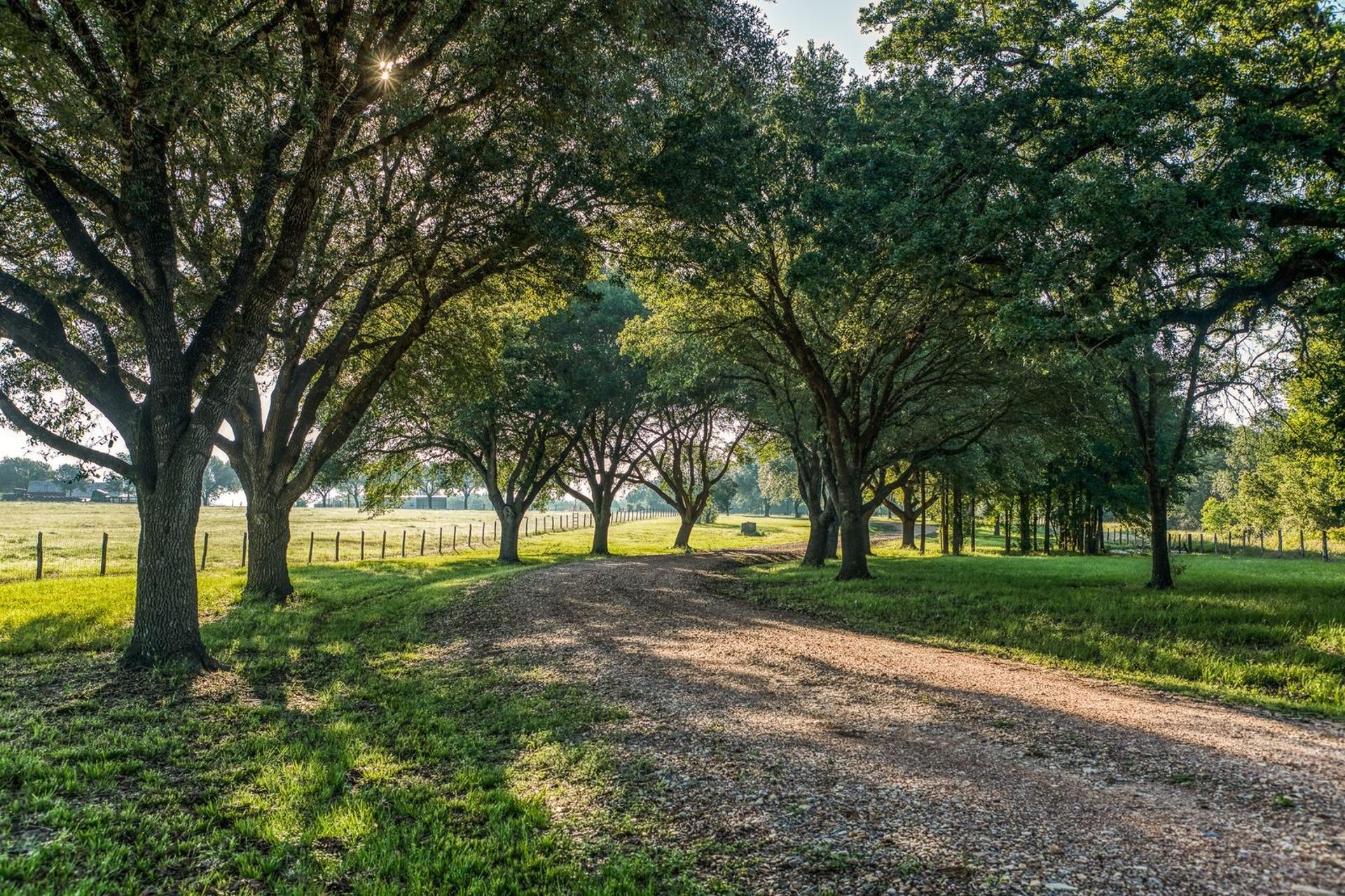 20755 Holle Lane, Washington, TX, 77880
