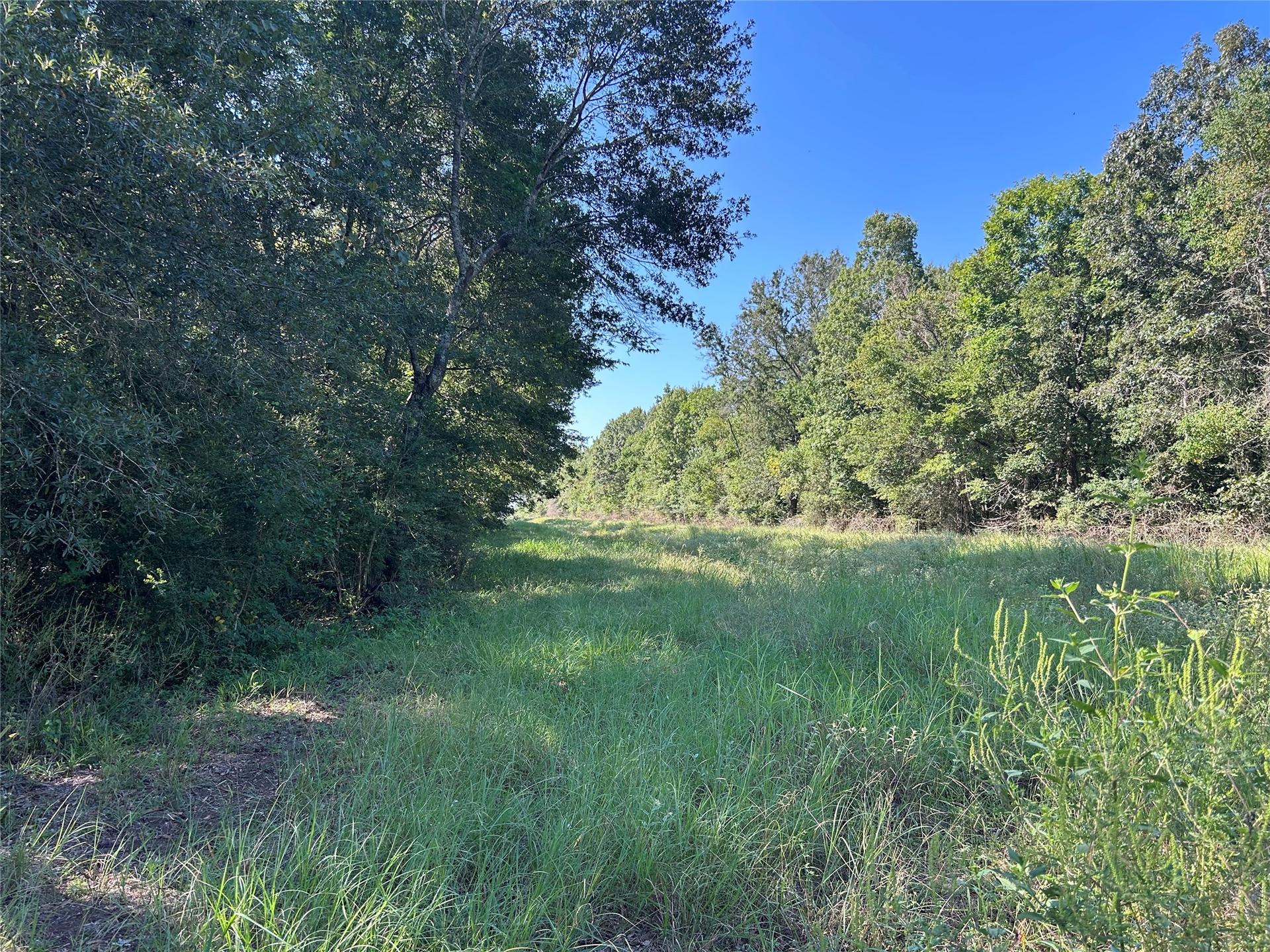 NA Mcguire, Liberty, TX, 77575