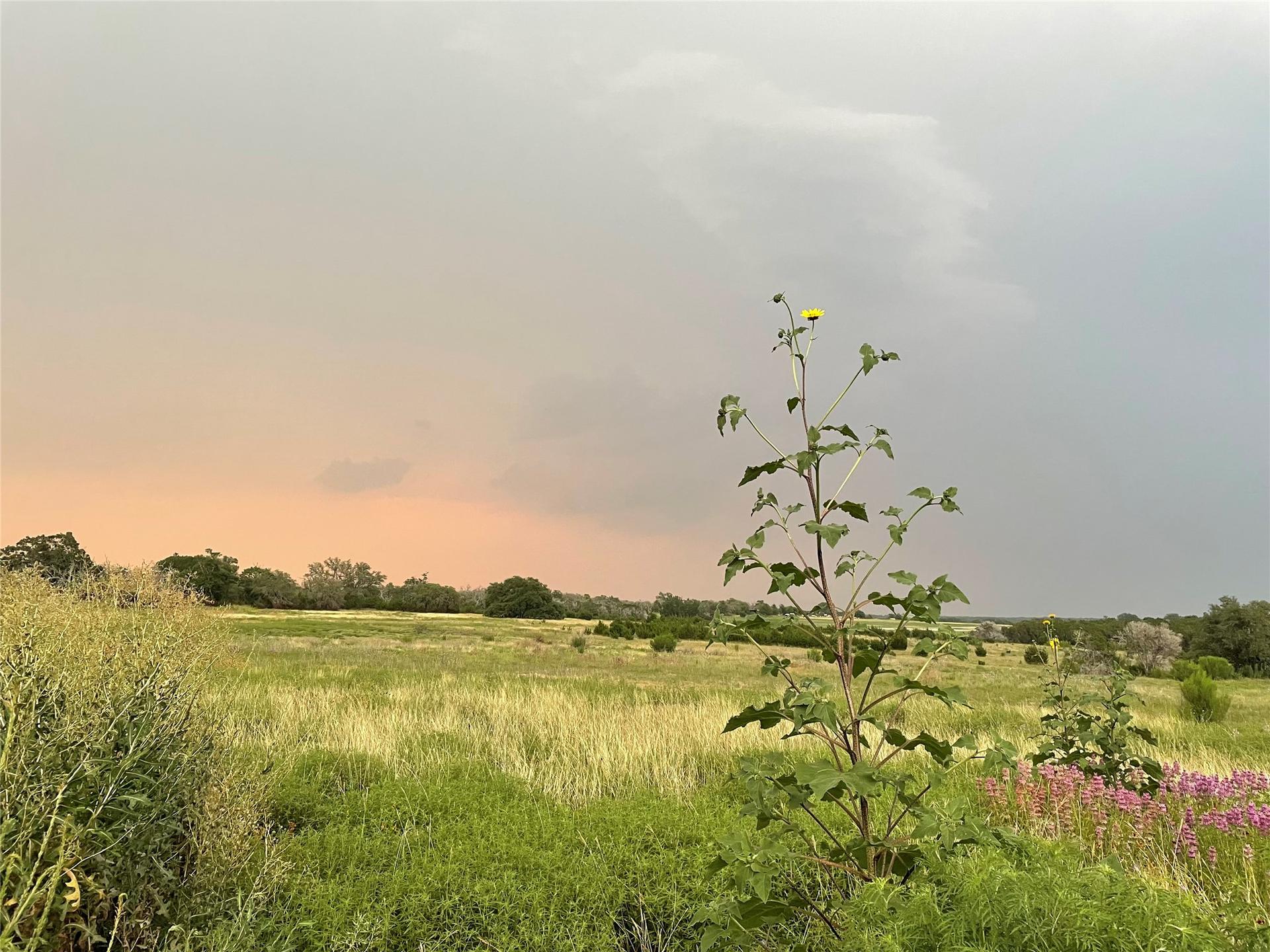 428 County Road 326a, Bertram, TX, 78605