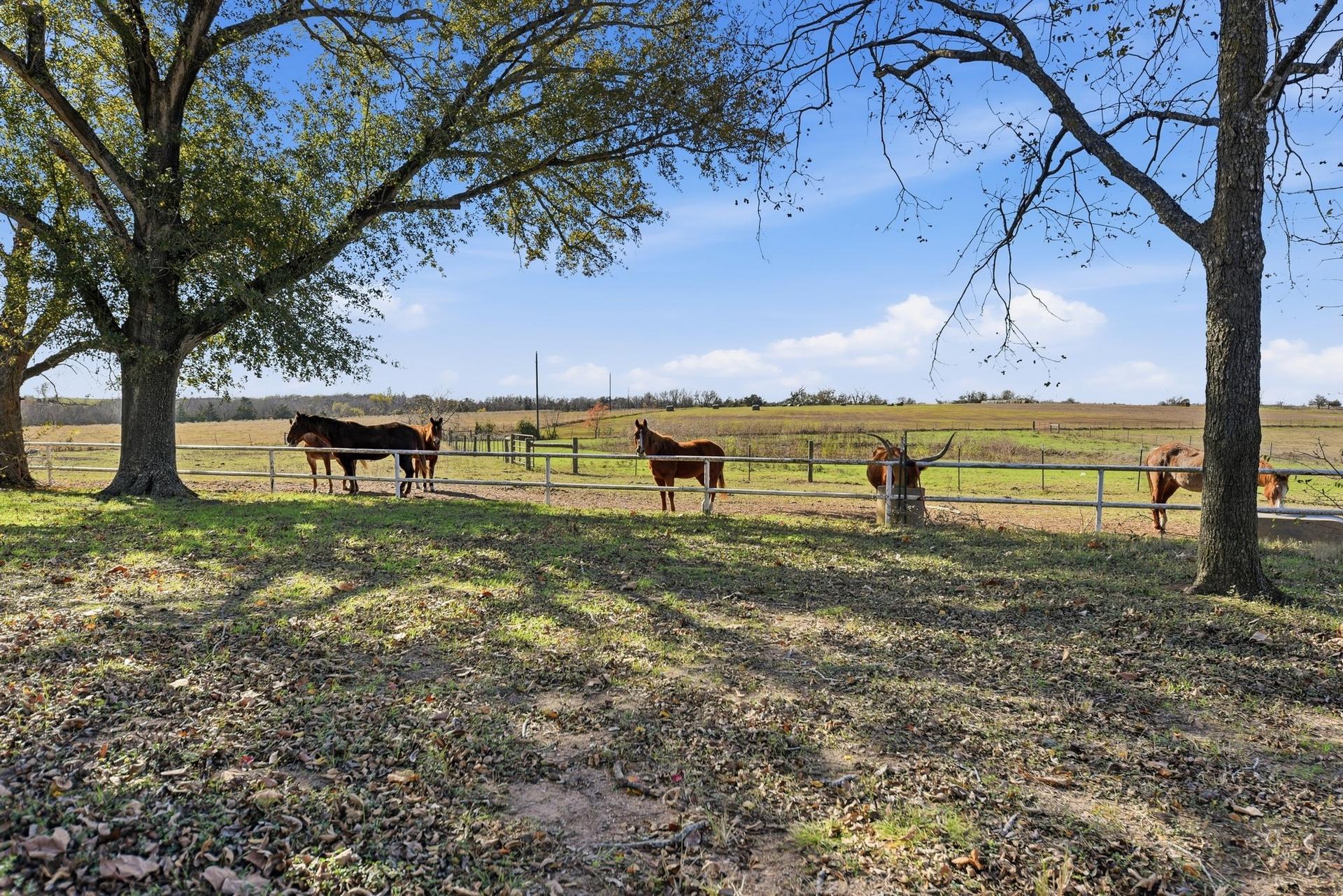 6921 Schulz, Bleiblerville, TX, 78931