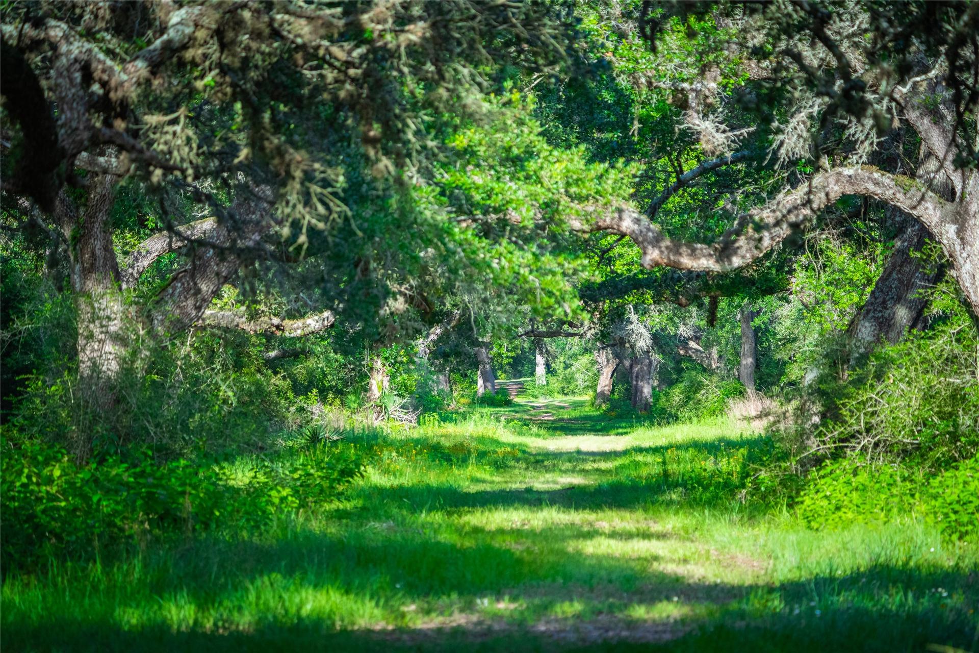4727 County Road 19, Hallettsville, TX, 77442