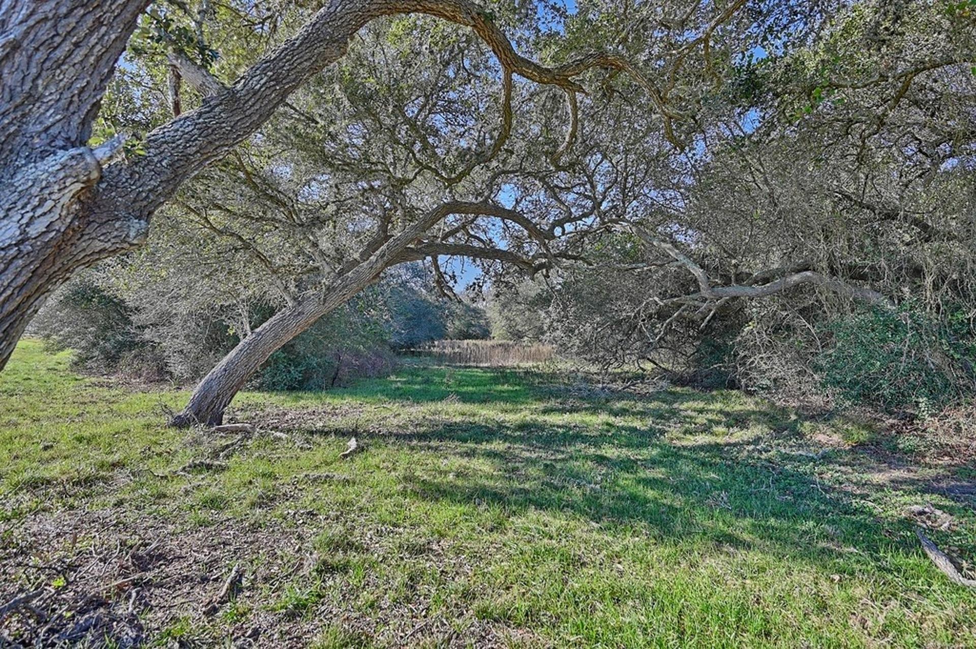 1400 FM 2434, Weimar, TX, 78962