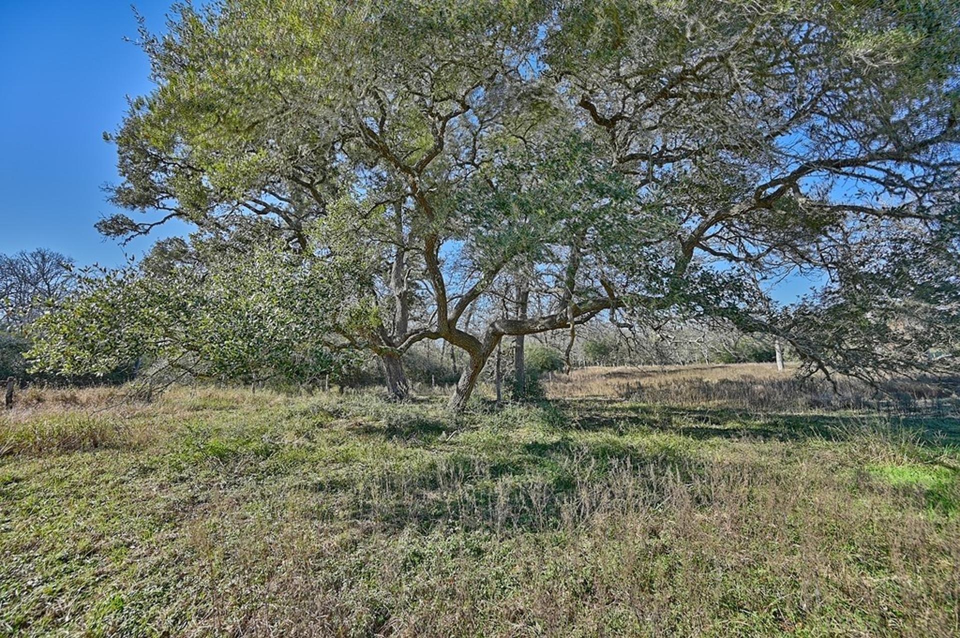 1400 FM 2434, Weimar, TX, 78962