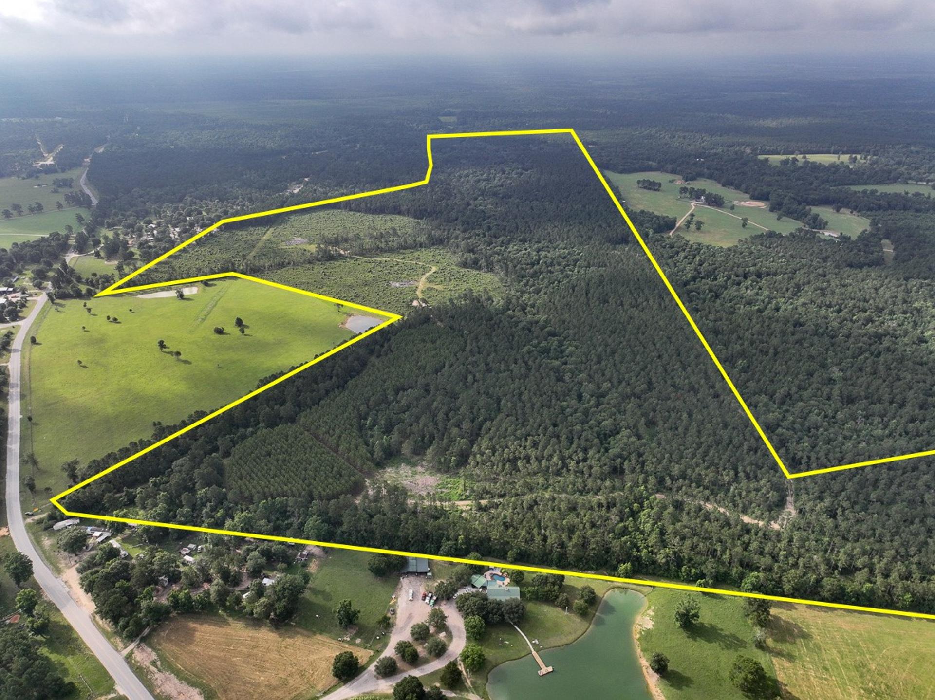 000 FM 1725, Willis, TX, 77378