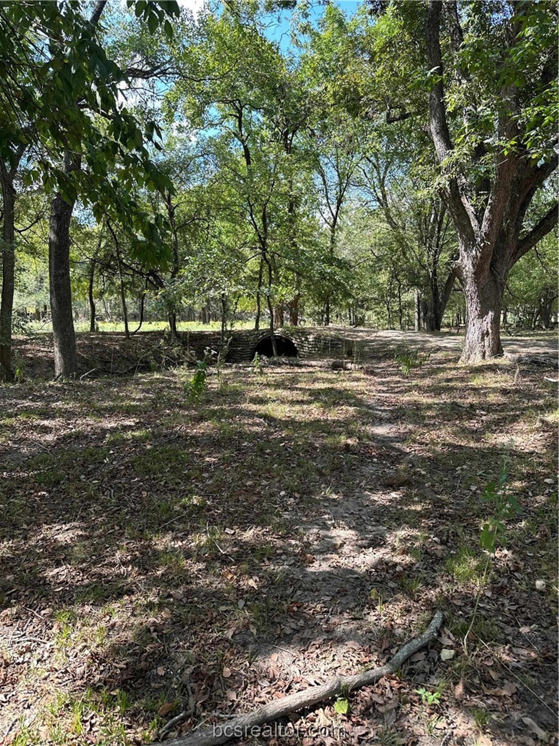 853 County Road 206, Bremond, TX, 76629